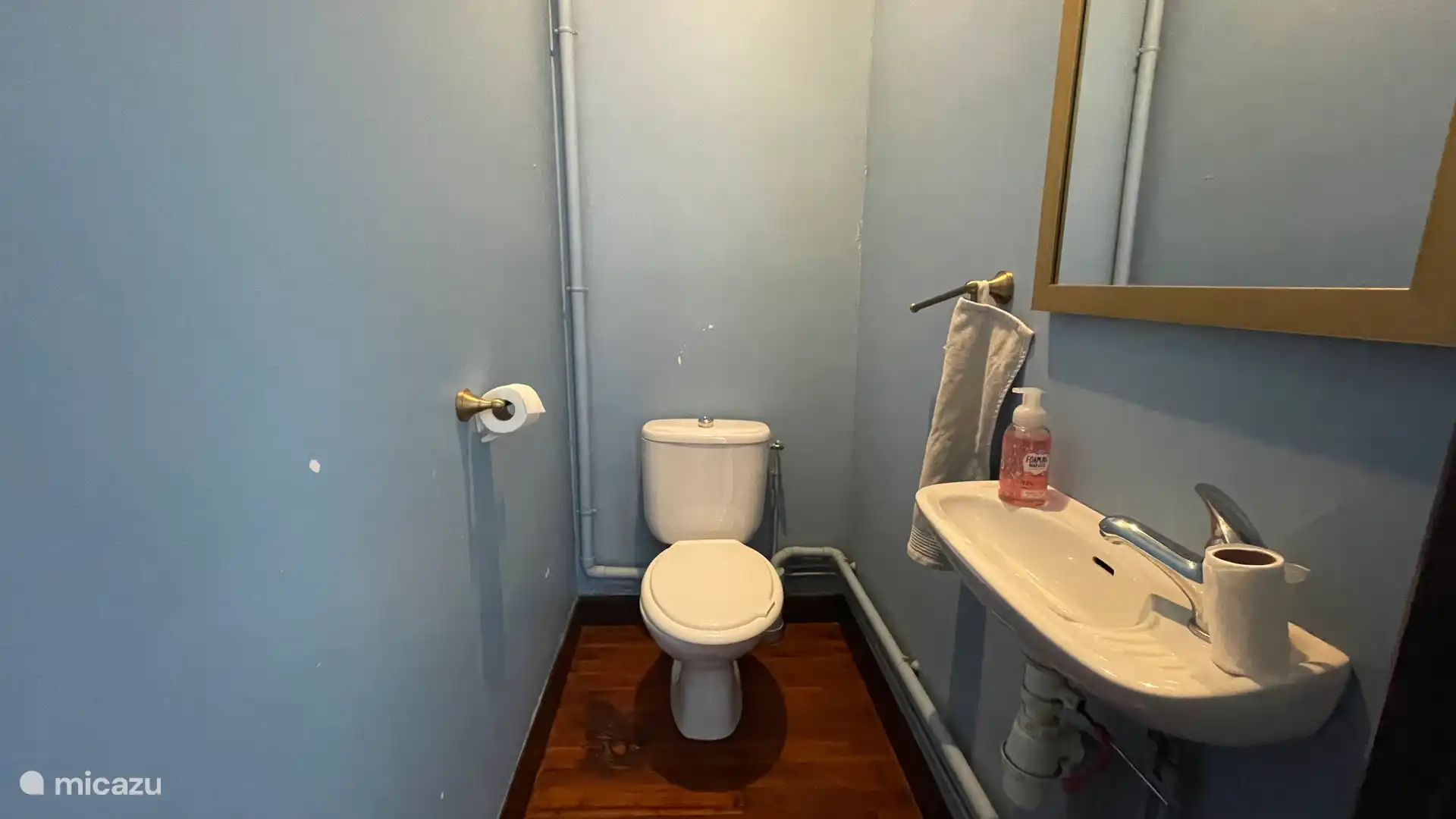 Toilet met wastafel op de begane grond