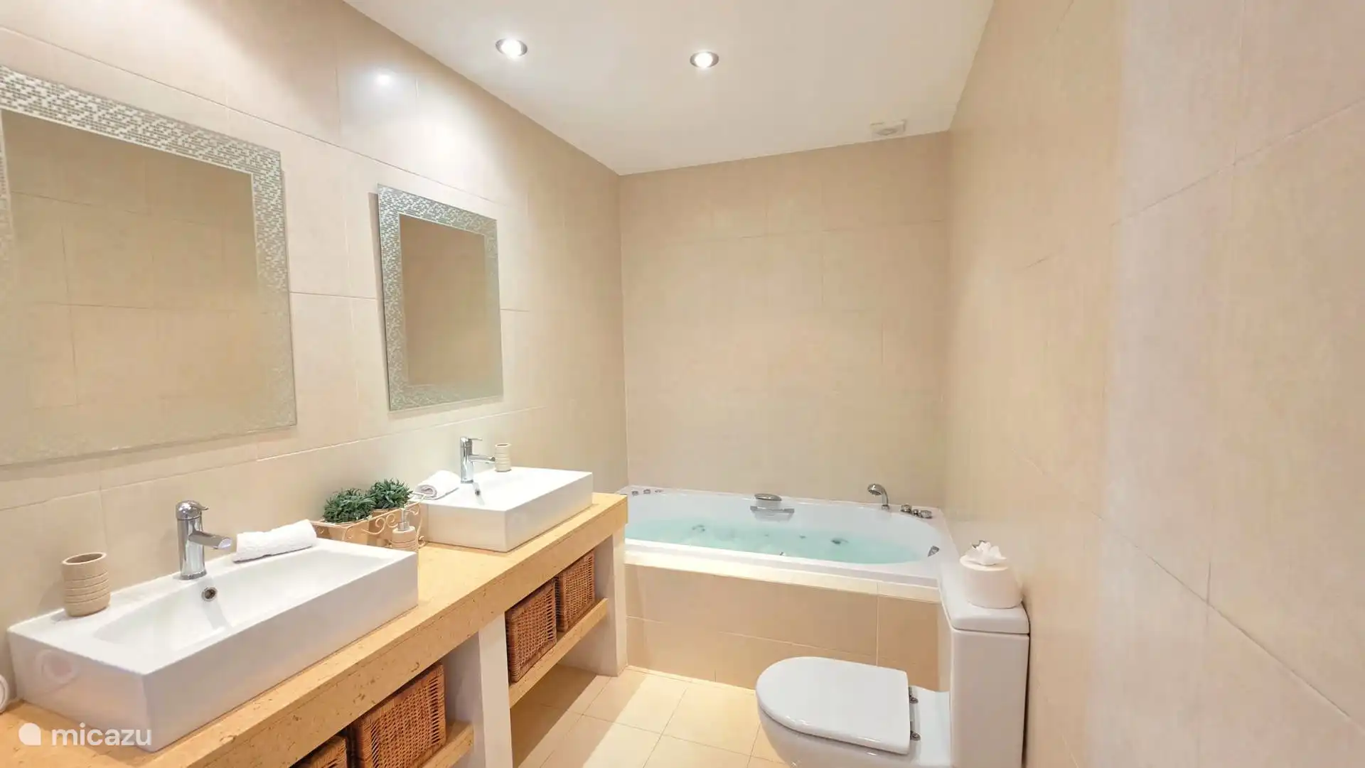Badkamer ensuite met whirlpoobad en aparte doucheruimte