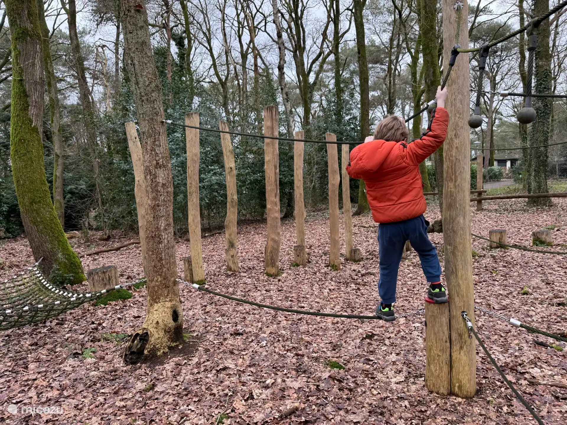 Klimmen en klauteren in het bos nabij het huisje