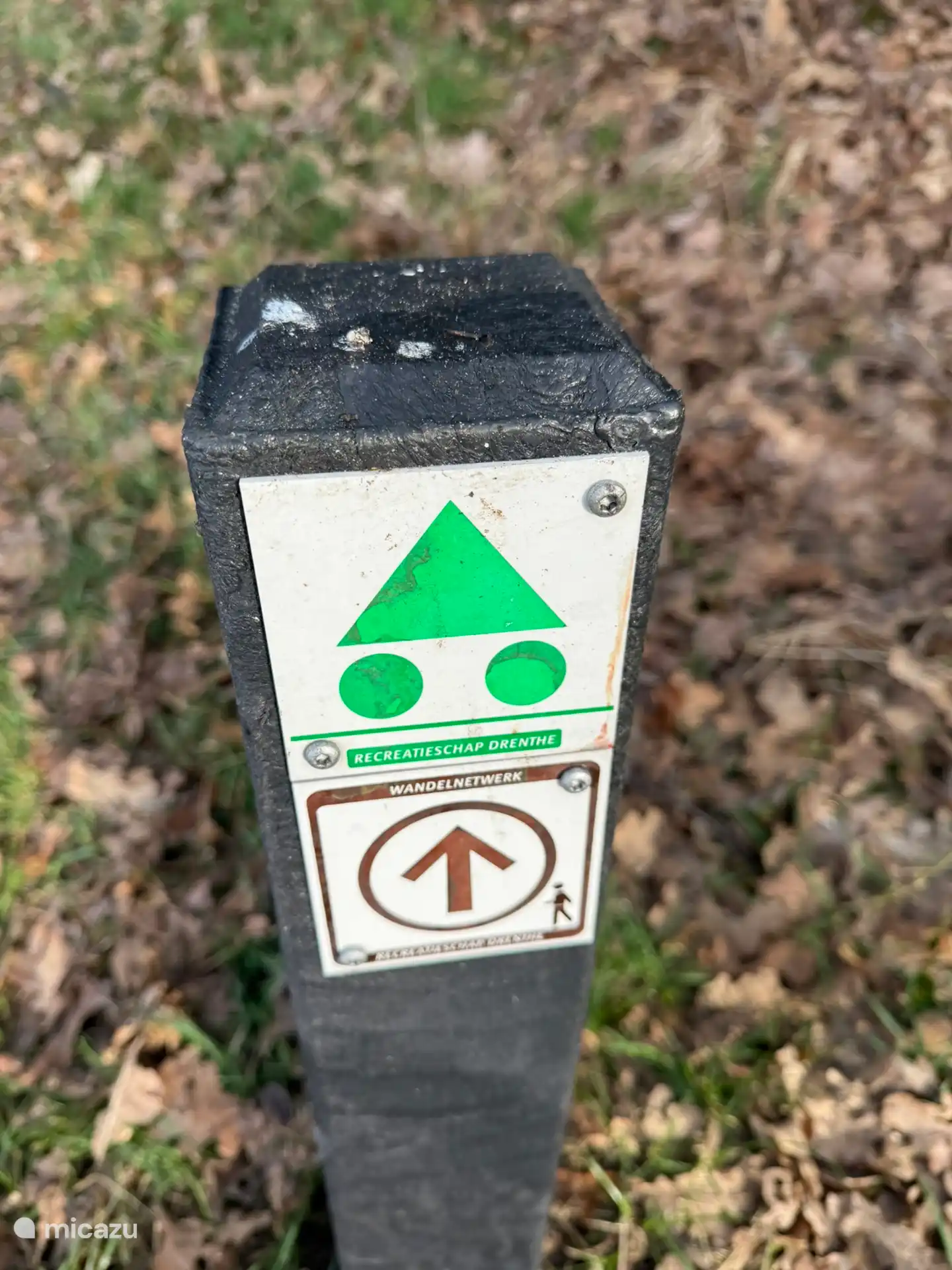 Mountainbike pad in directe omgeving