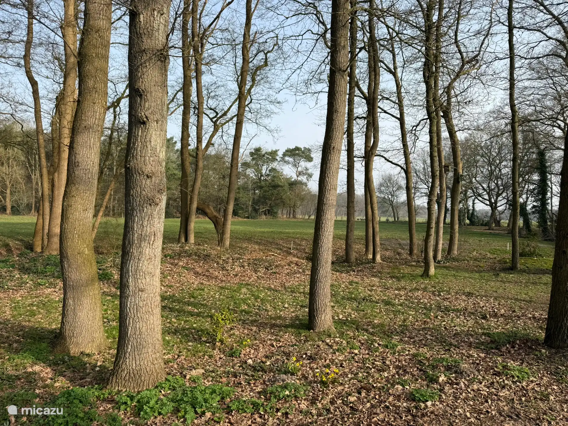 directe omgeving