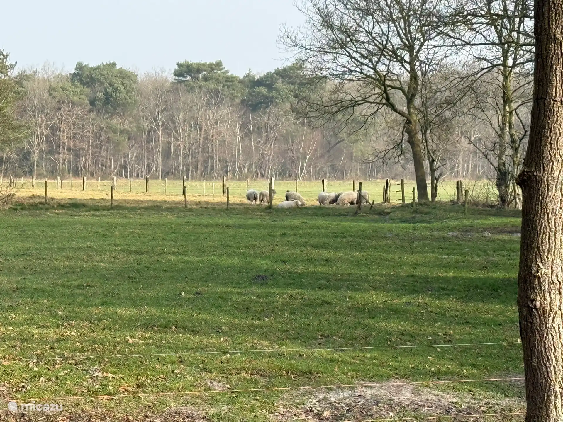directe omgeving