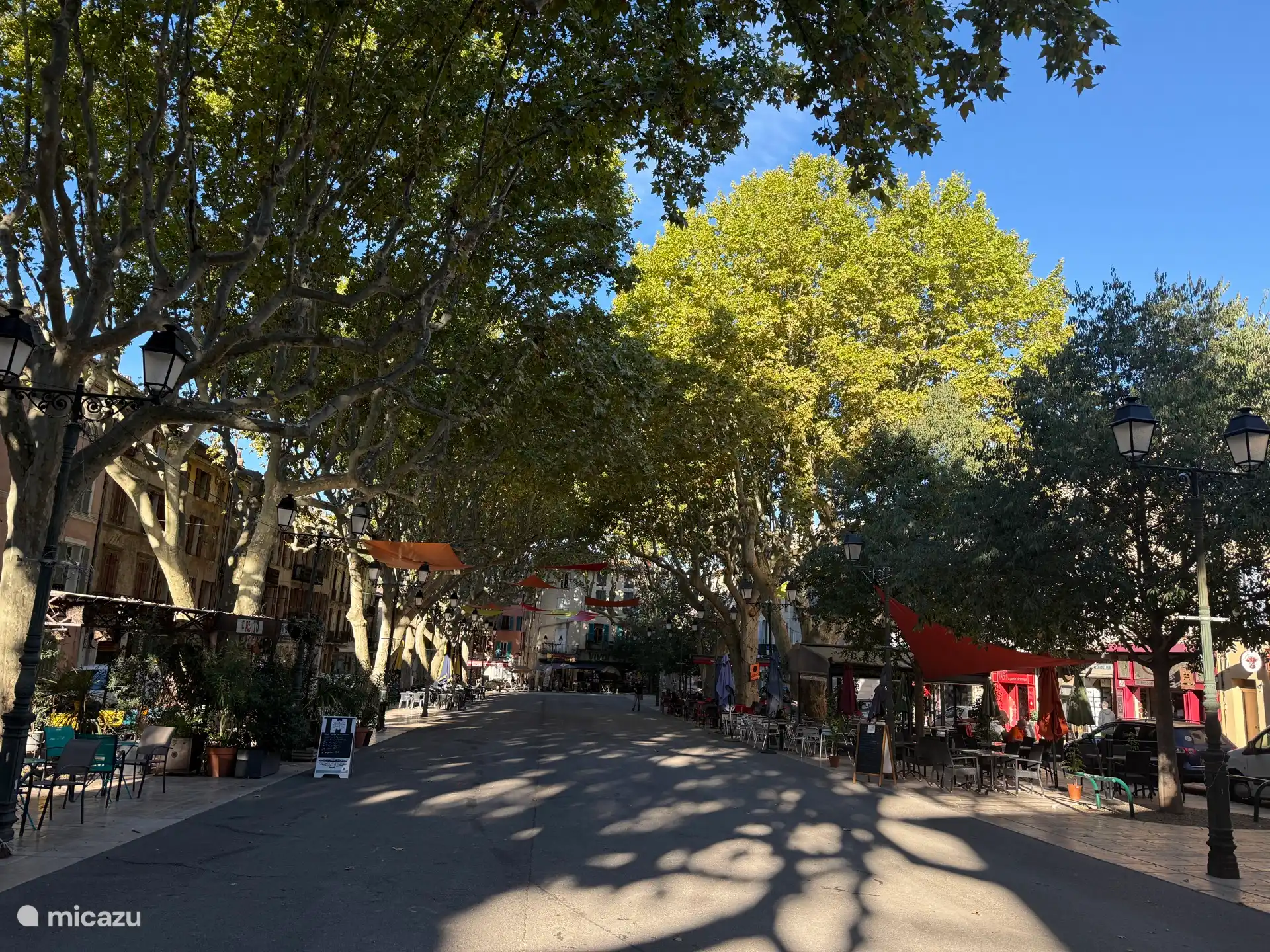 salernes