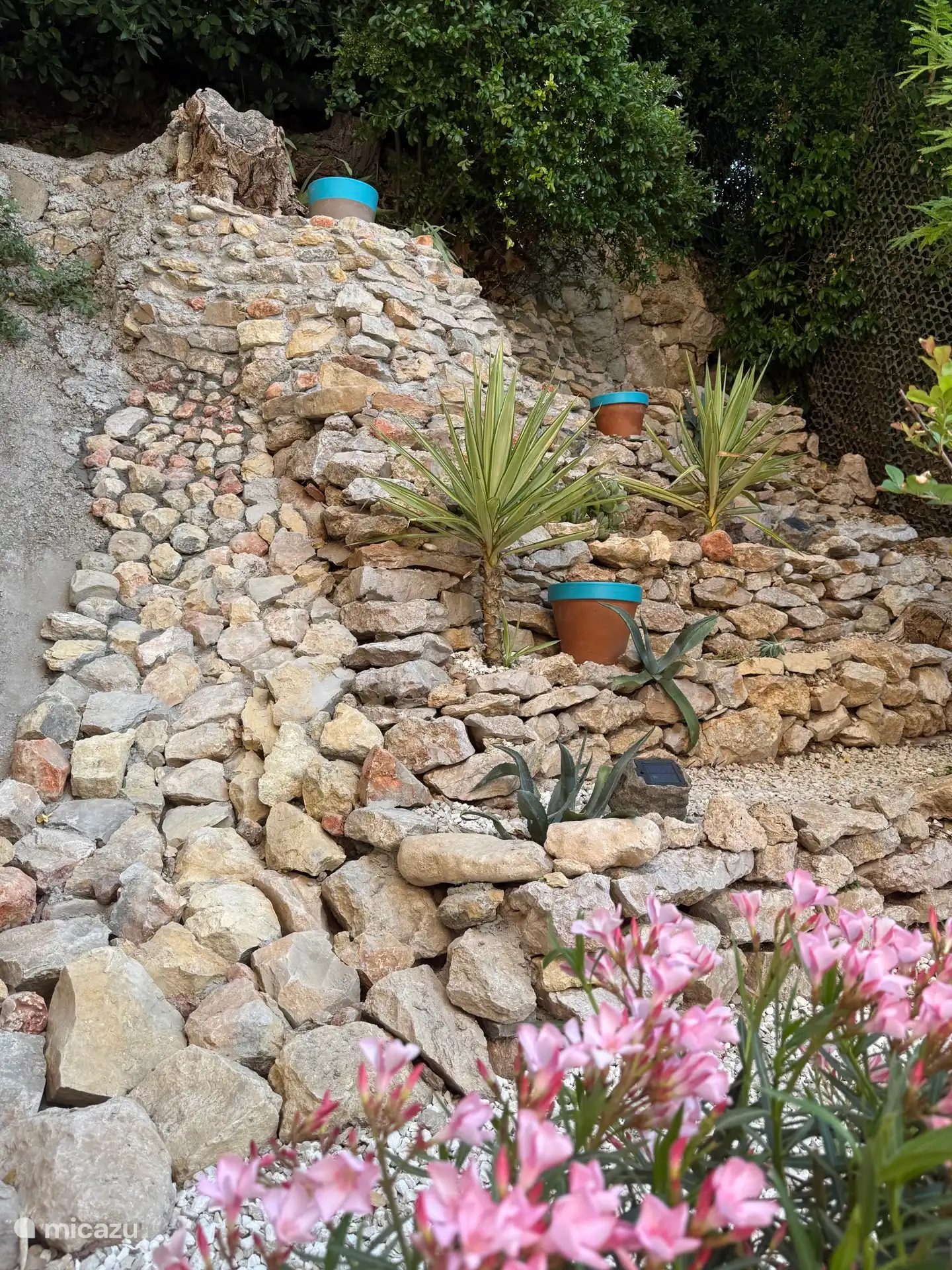 tuin