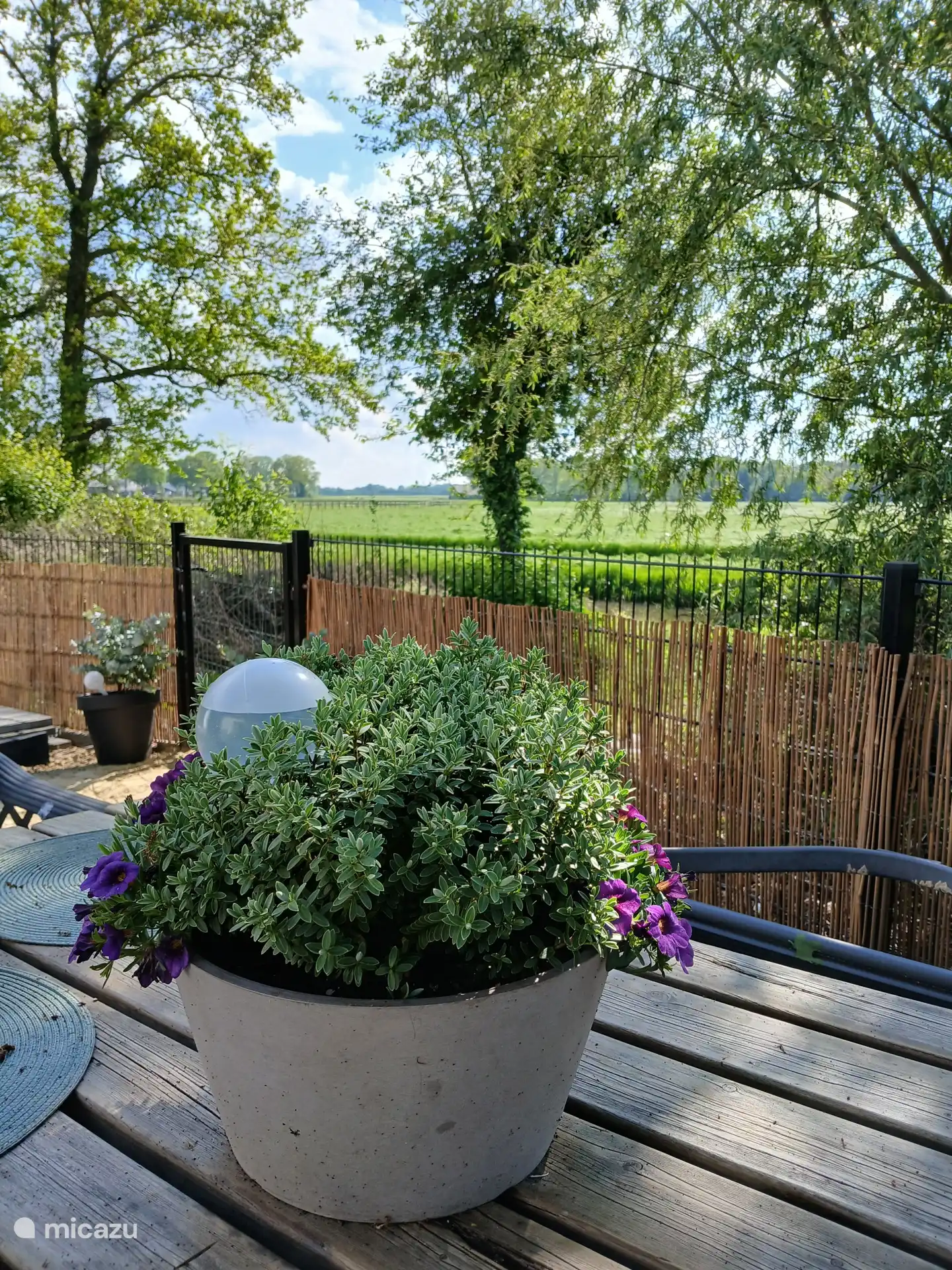 View terrace.
