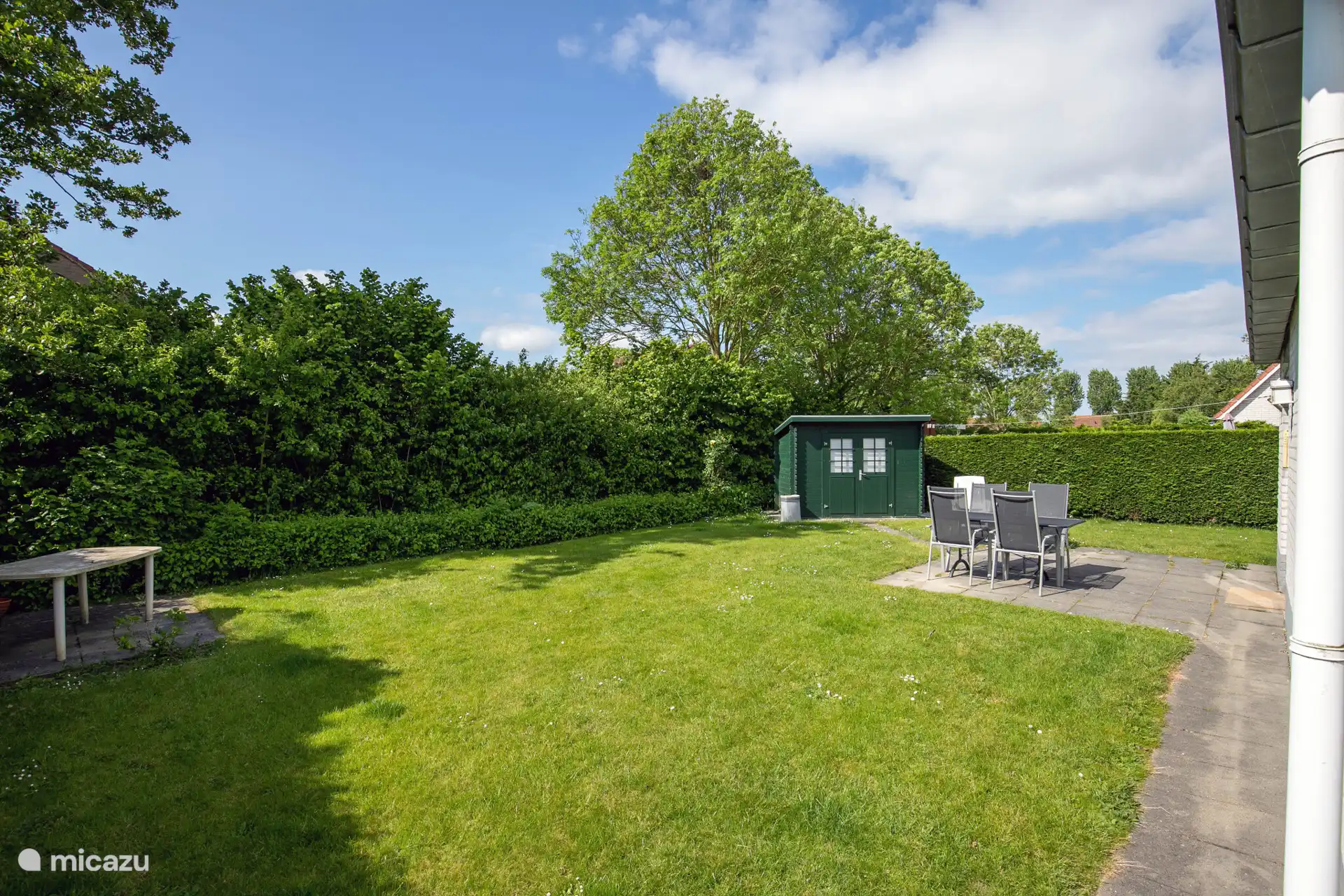 Tuin met terras