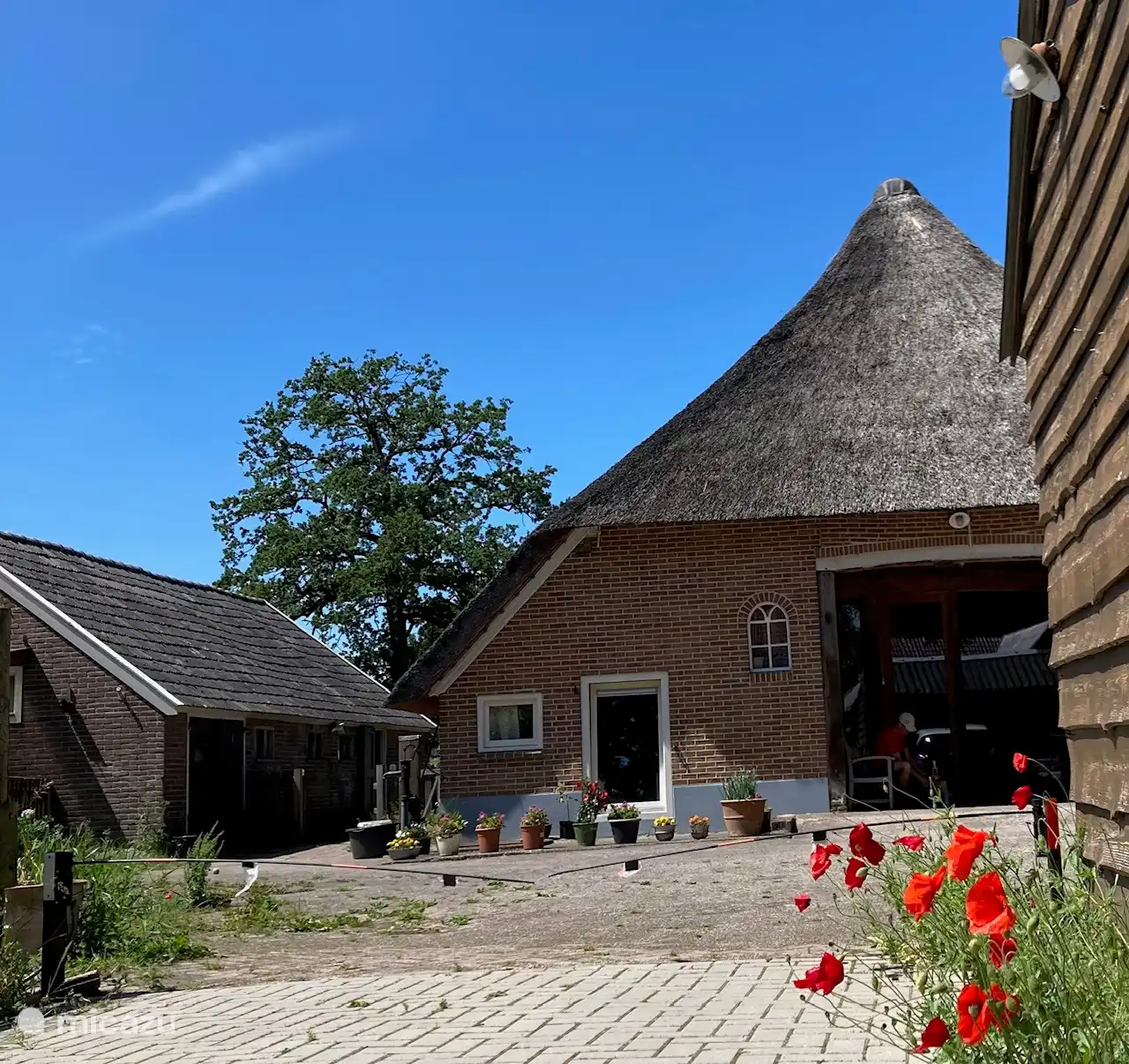 apartment, Ruinerwold, Drenthe, Netherlands - Jan van Swinder