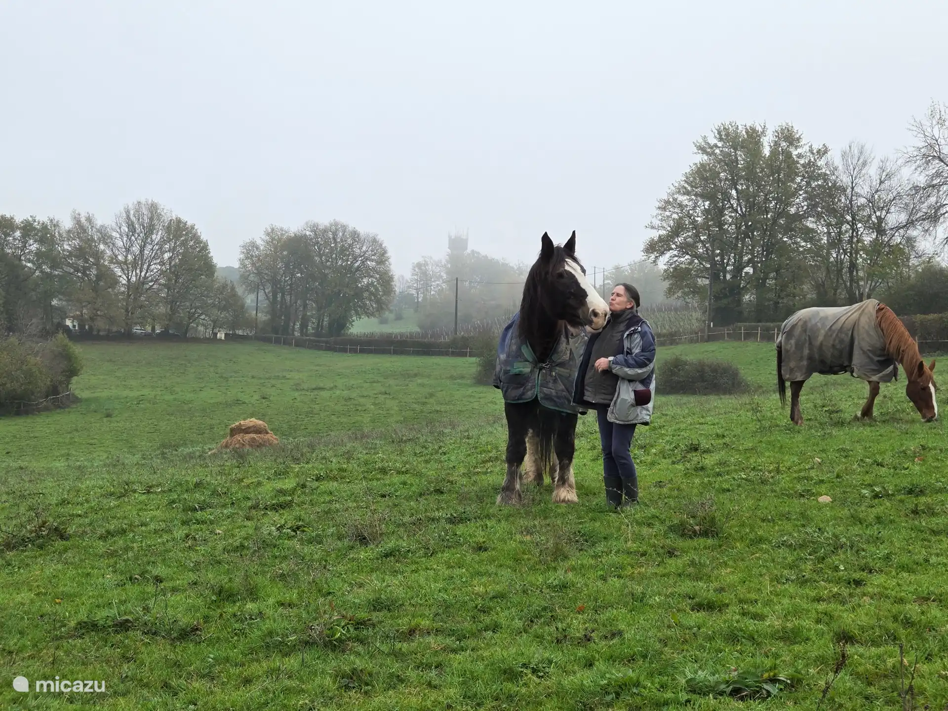 Reiten beim Nachbarn
