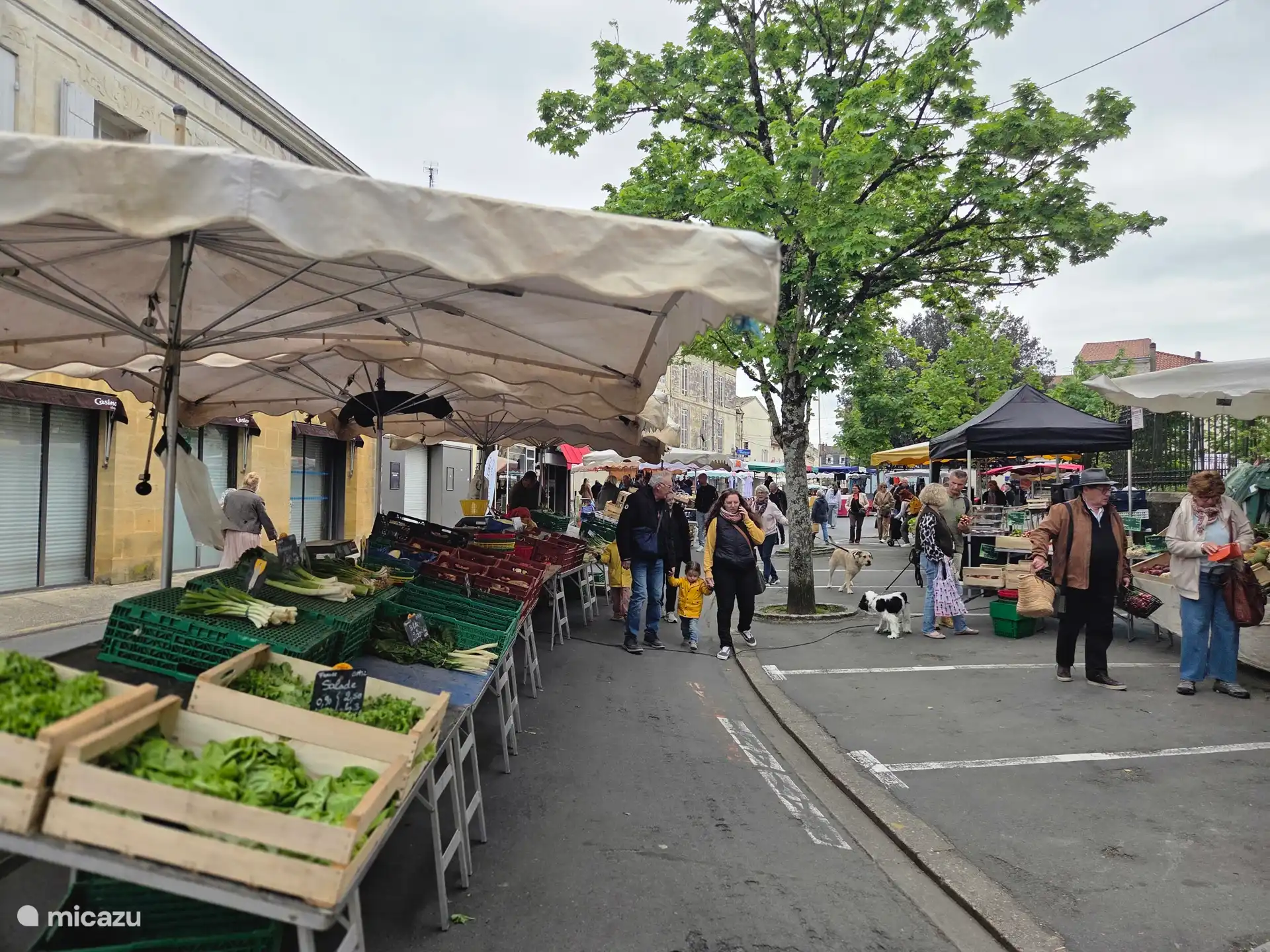 Mittwochsmarkt in Bergerac