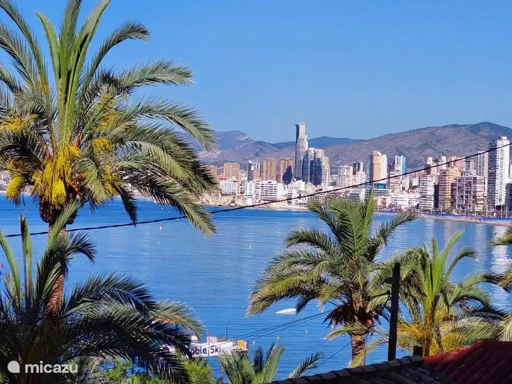 King Beach Studio huren in Spanje, Costa Blanca, Benidorm - appartement