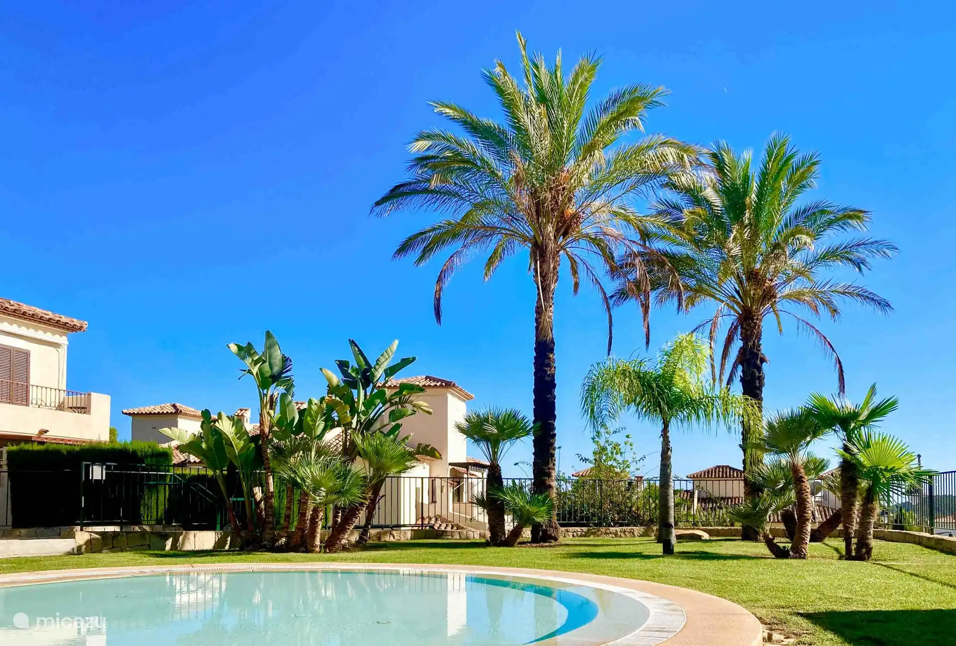 Casa Leon - piscine en forme de lagon