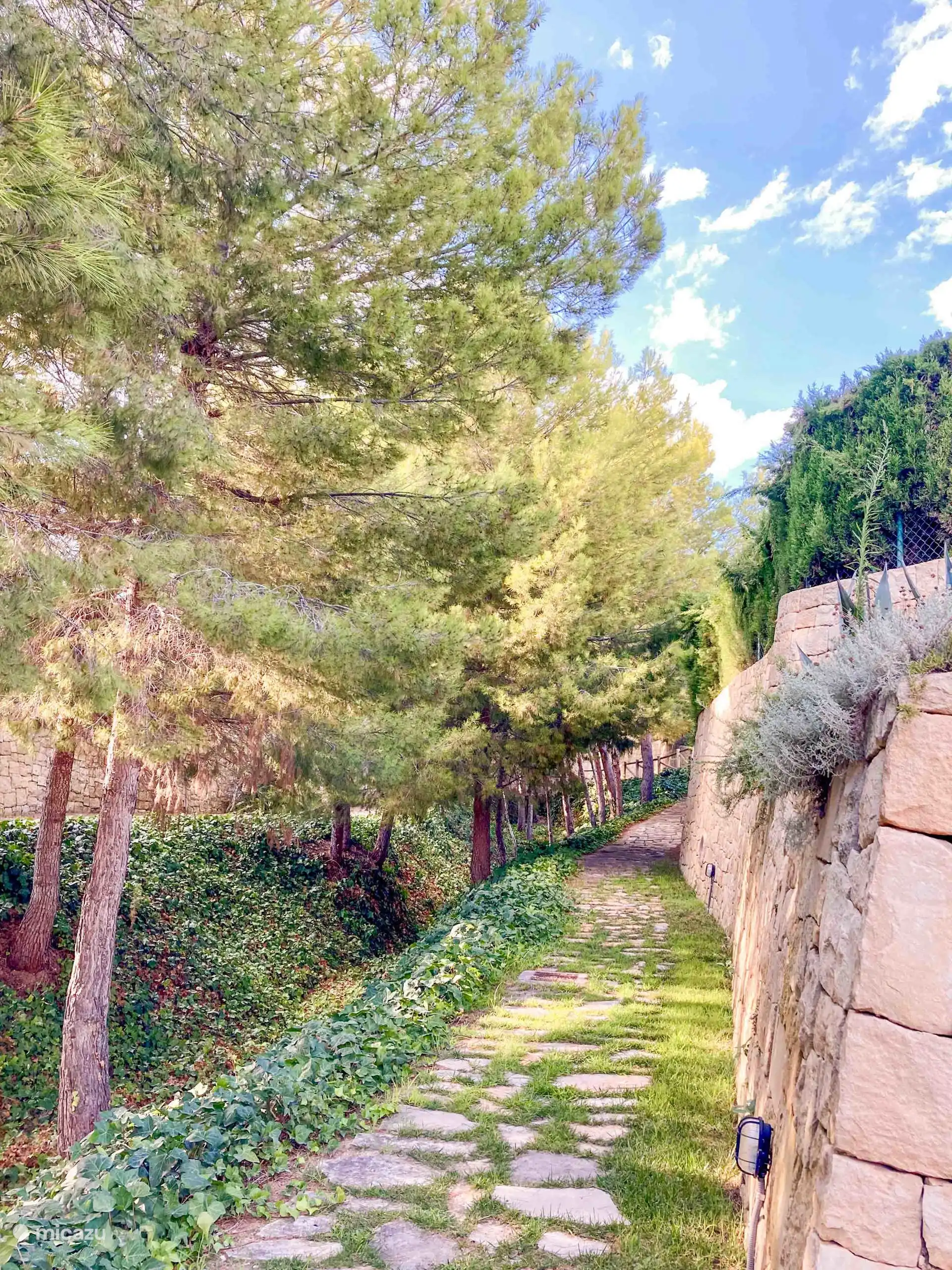 Casa Leon - Entourée de verdure