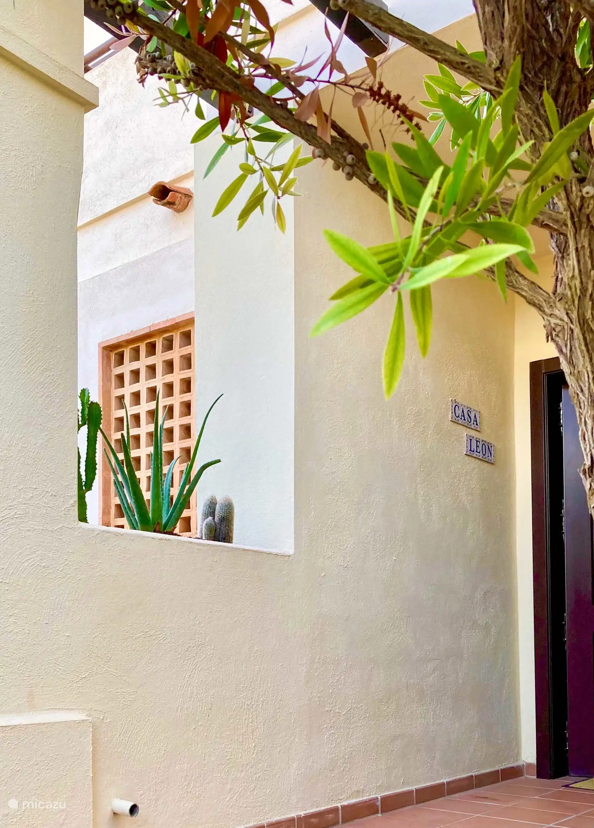 Casa Leon 