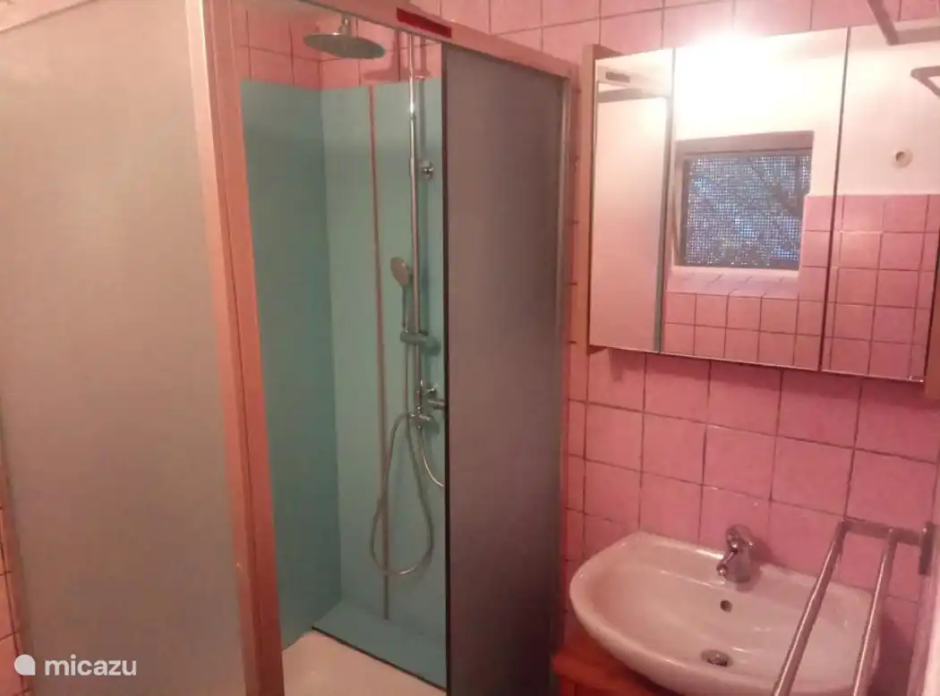 El baño de arriba sigue conservando las baldosas rosas originales