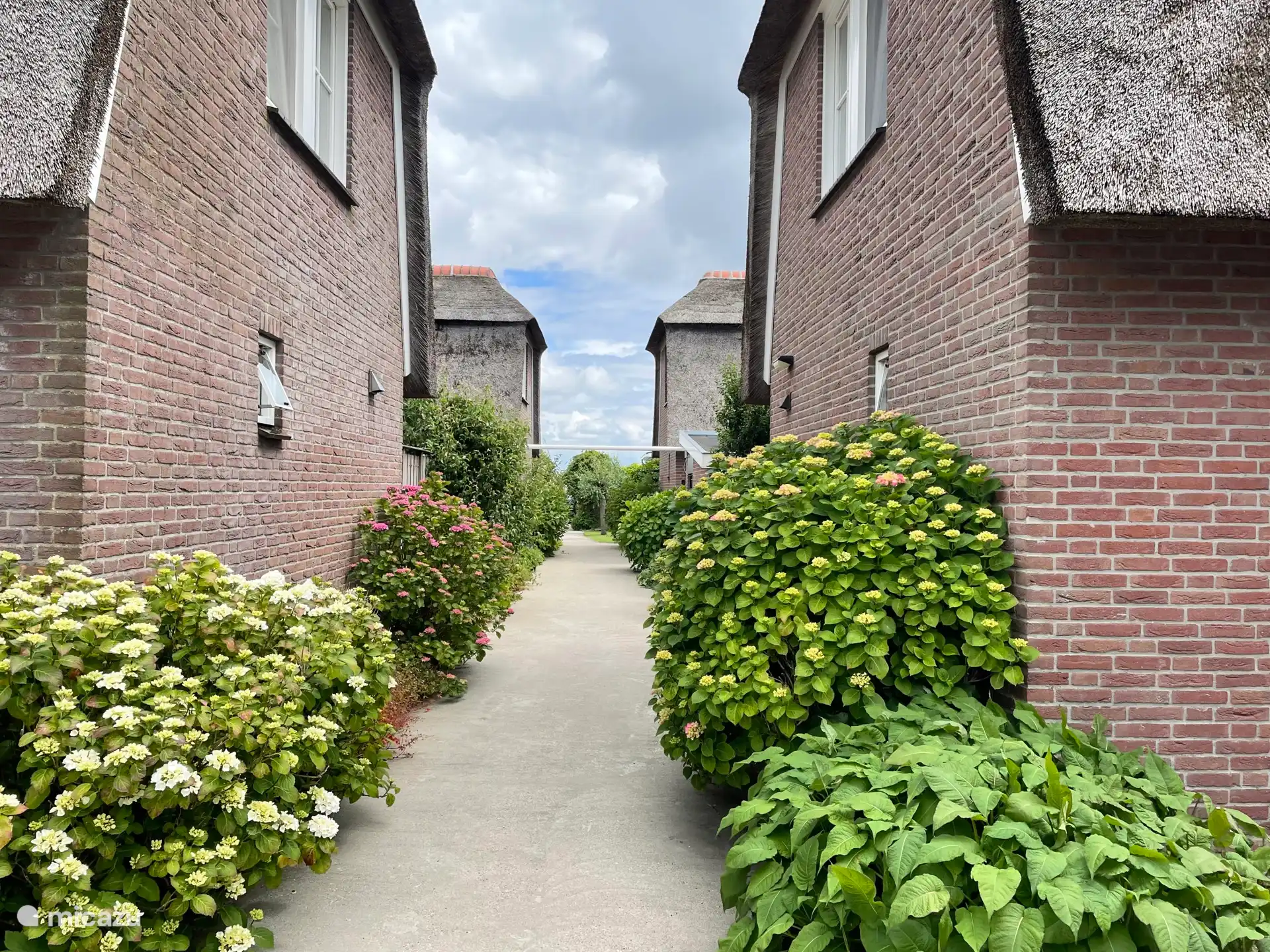 Villa voor 6 personen met zeer ruim en zonnig terras aan het water.