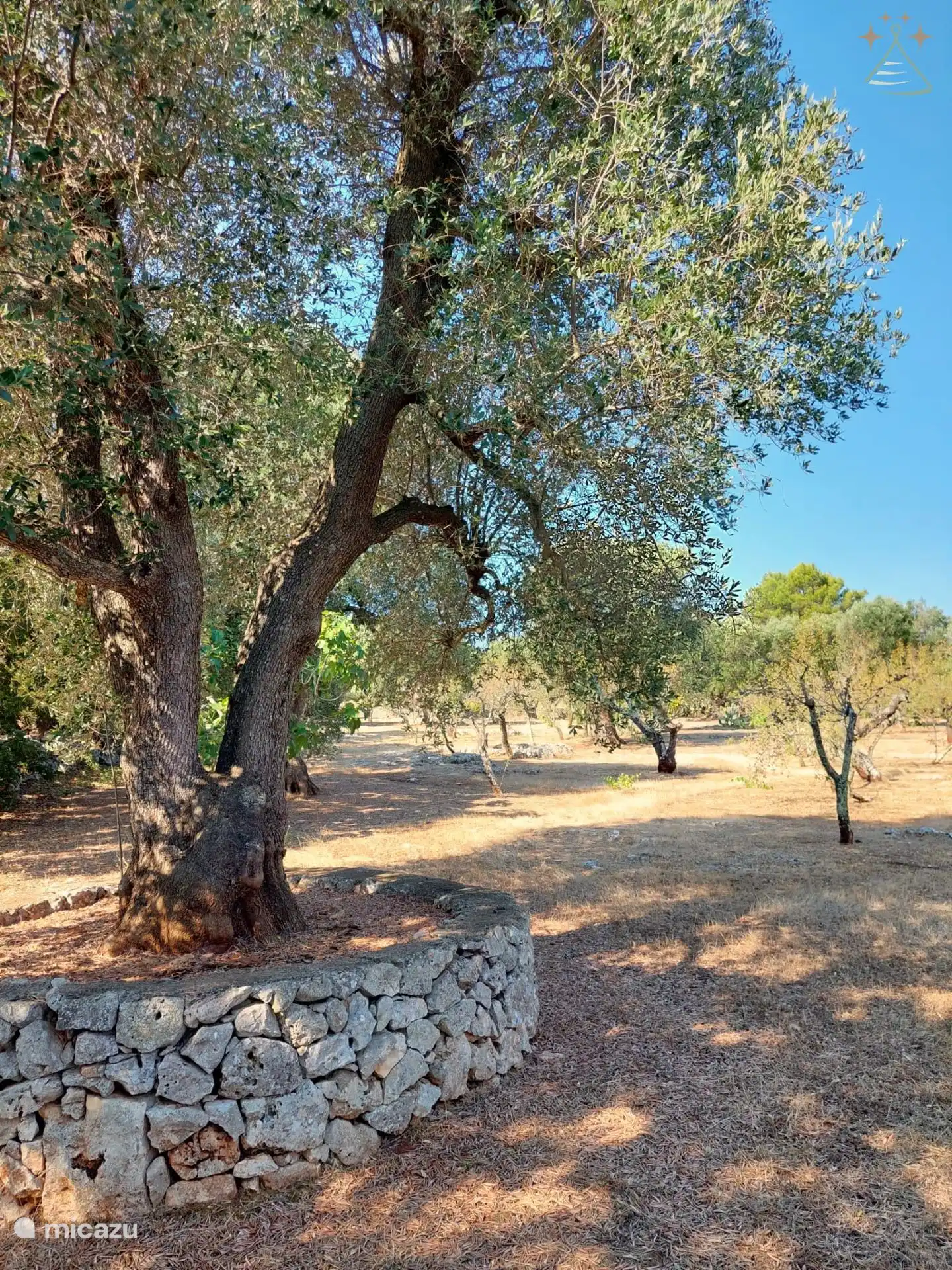 Der Garten