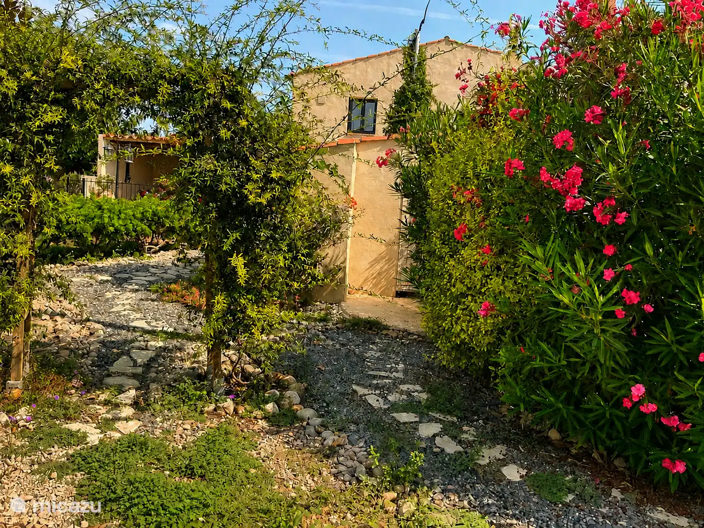 Adelfas y Sendero del Jardín