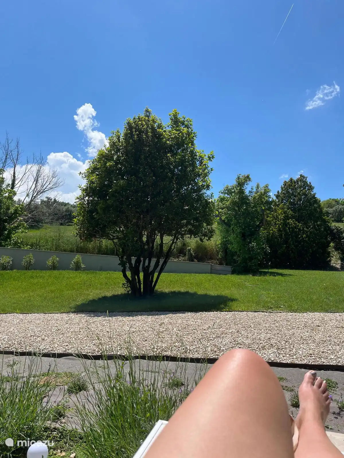 Une partie du jardin d’un acre