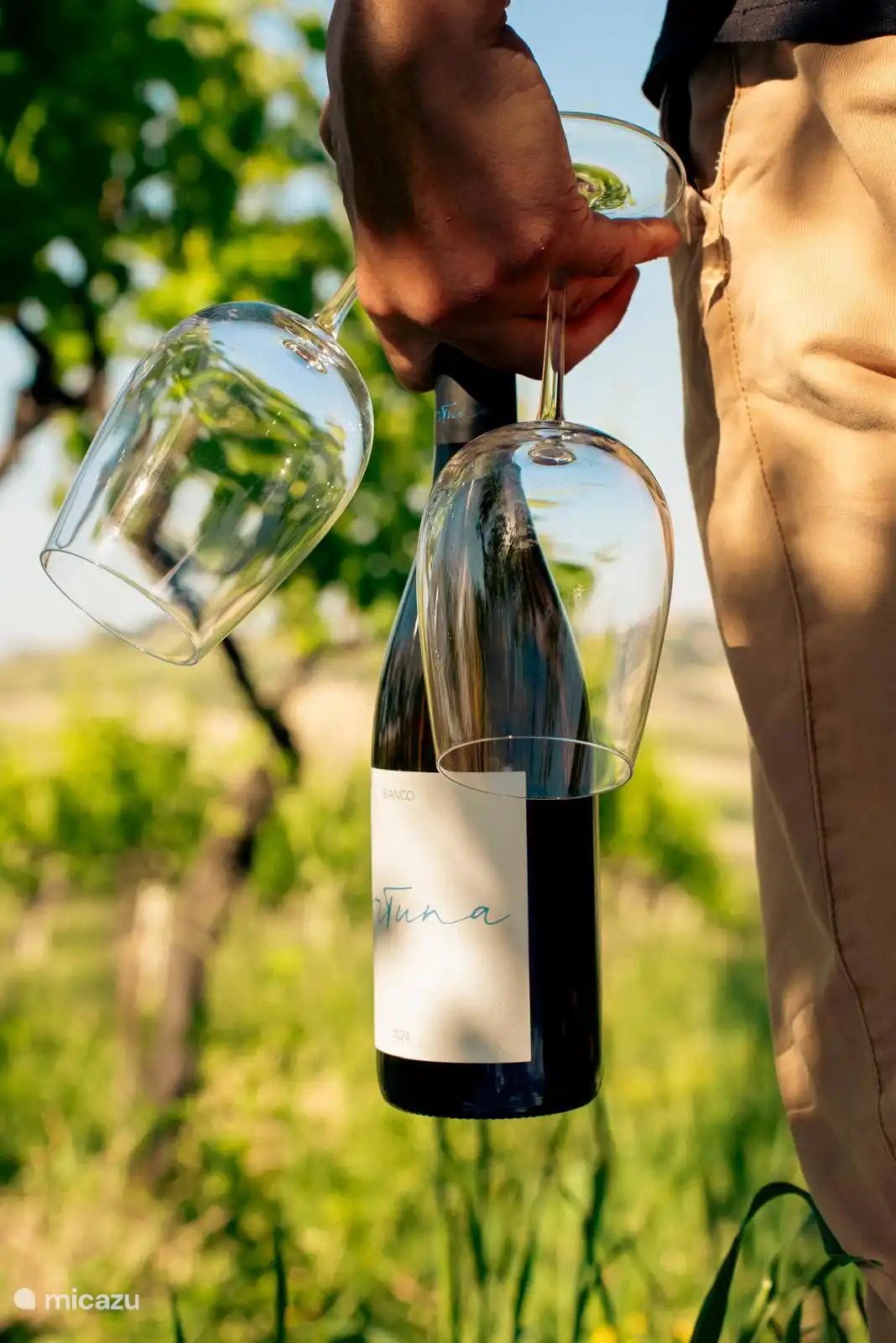 Fortuna Wines van onze eigen druiven, gemaakt door de lokale Cantina