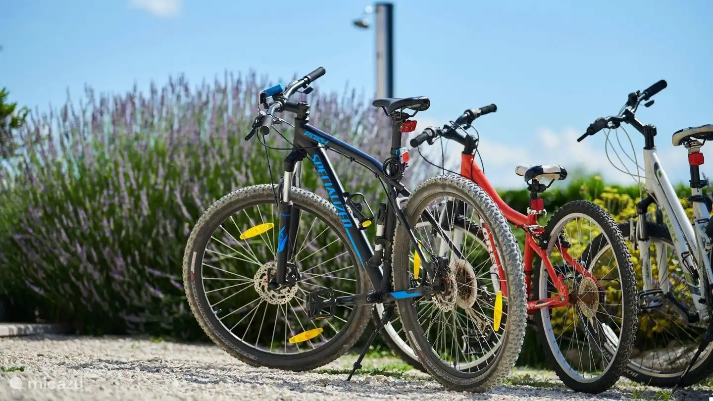fietsen