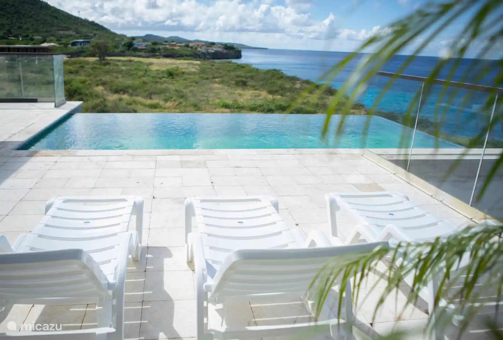 Infinity Pool