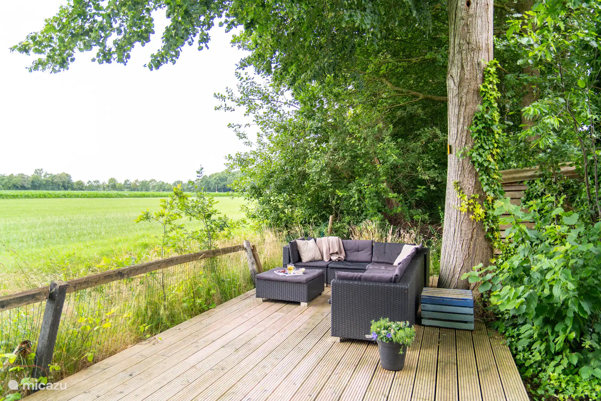 Jardin avec vue dégagée