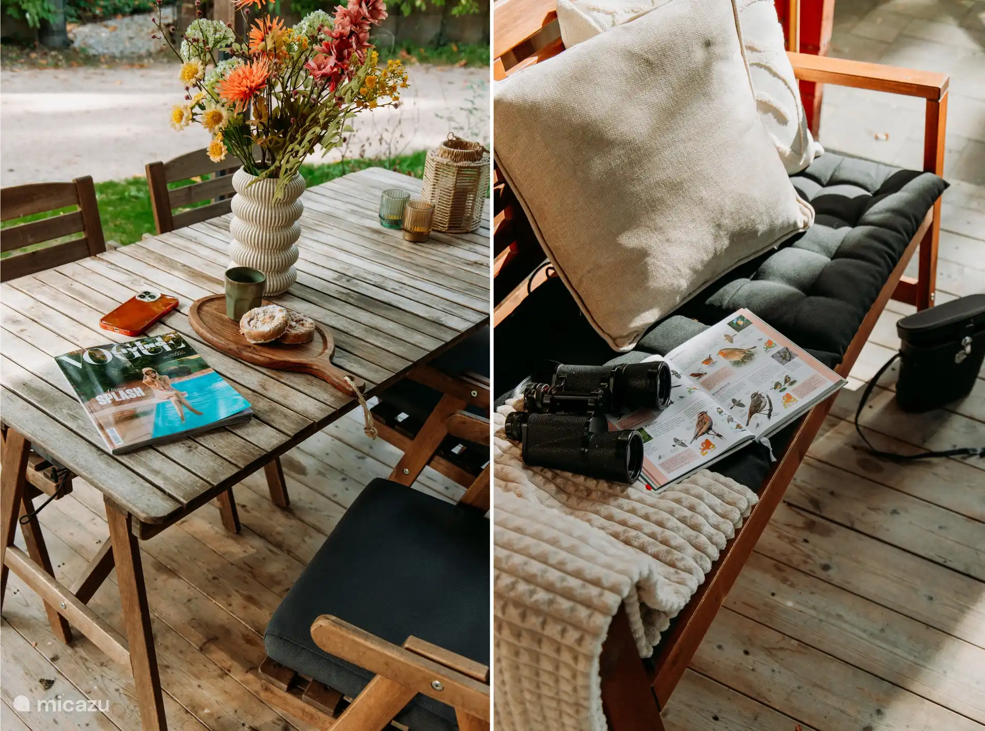 Use the binoculars and nature guides in the house to learn more about nature.