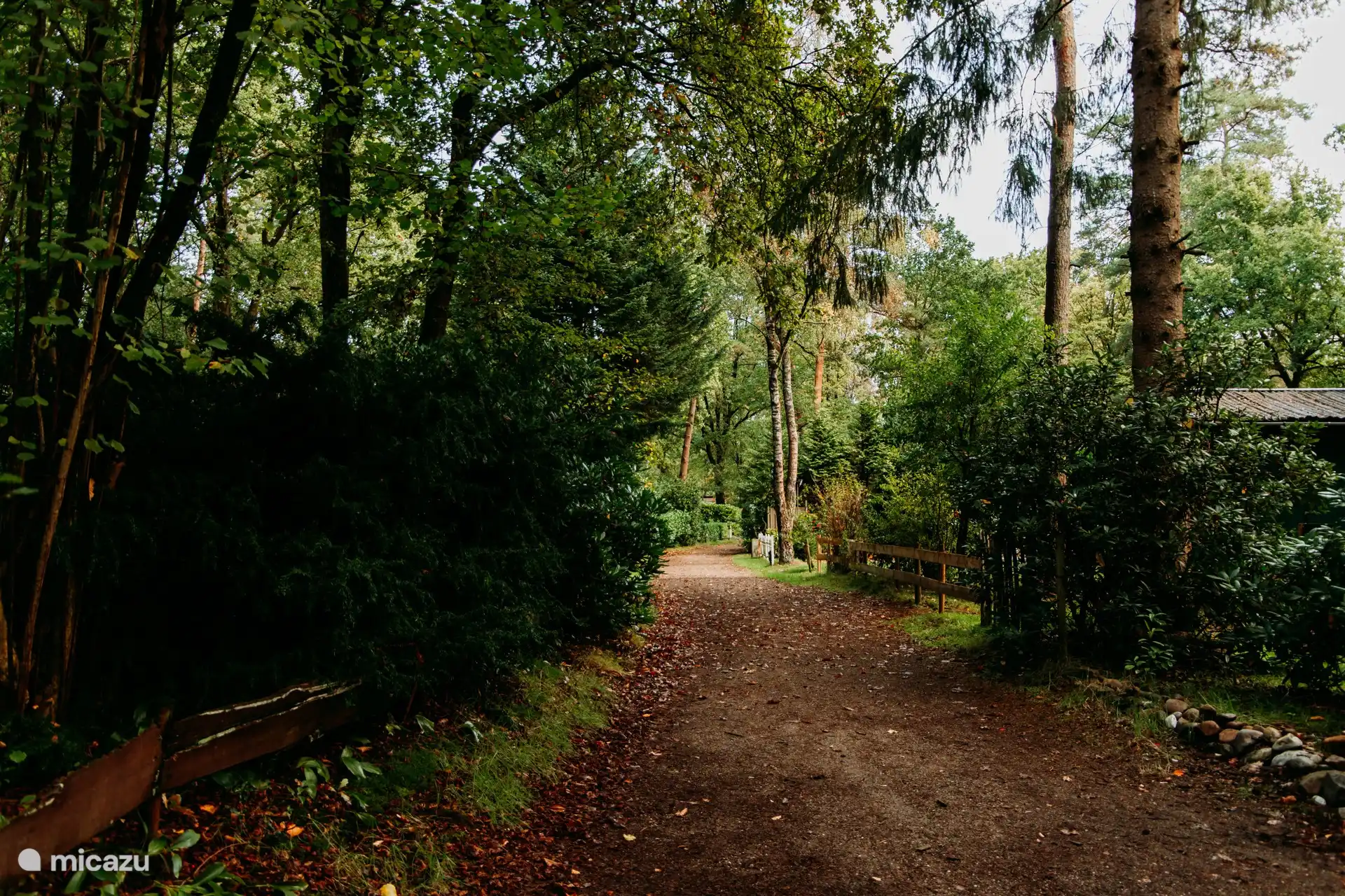 Impression of the green car-free forest park.
