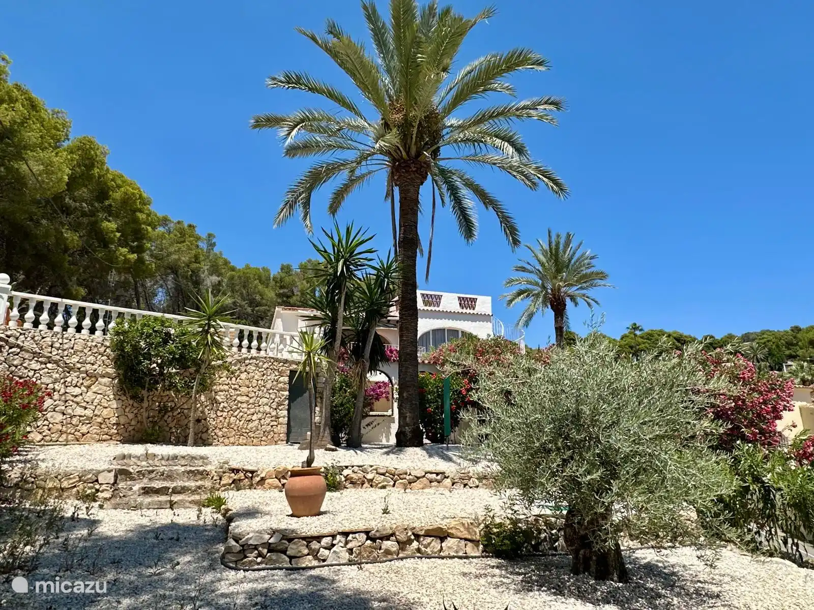 casa Querencia, tropische tuin