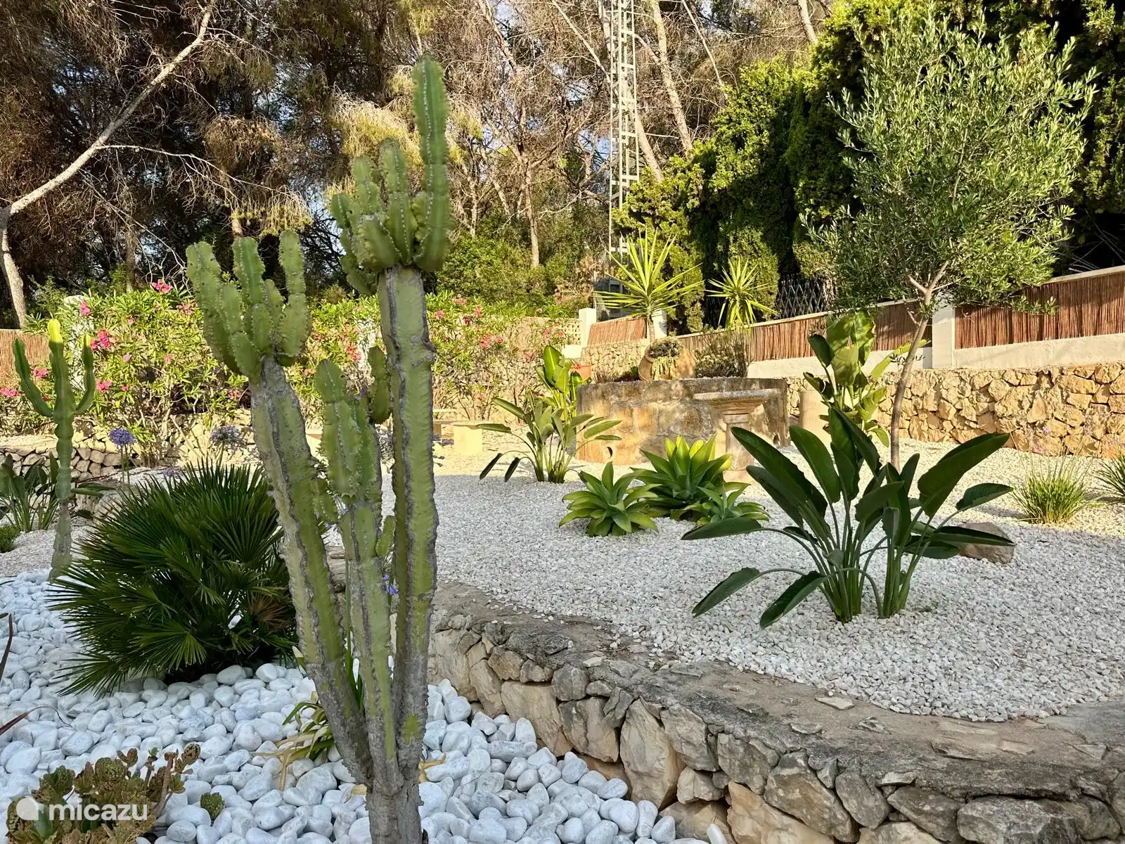 casa Quirencia, tropische tuin