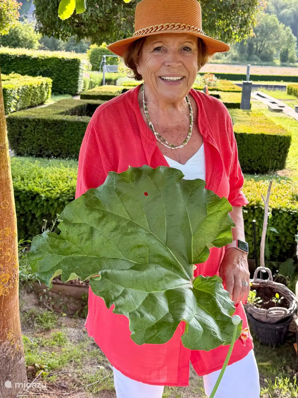 Clasina van Tilburg