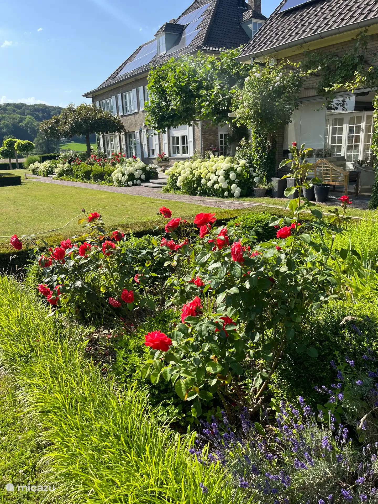 Clasina Garden