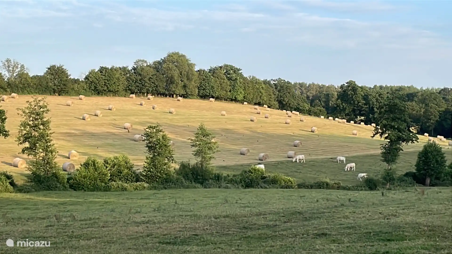 Pastos en época de cosecha en el valle cercano
