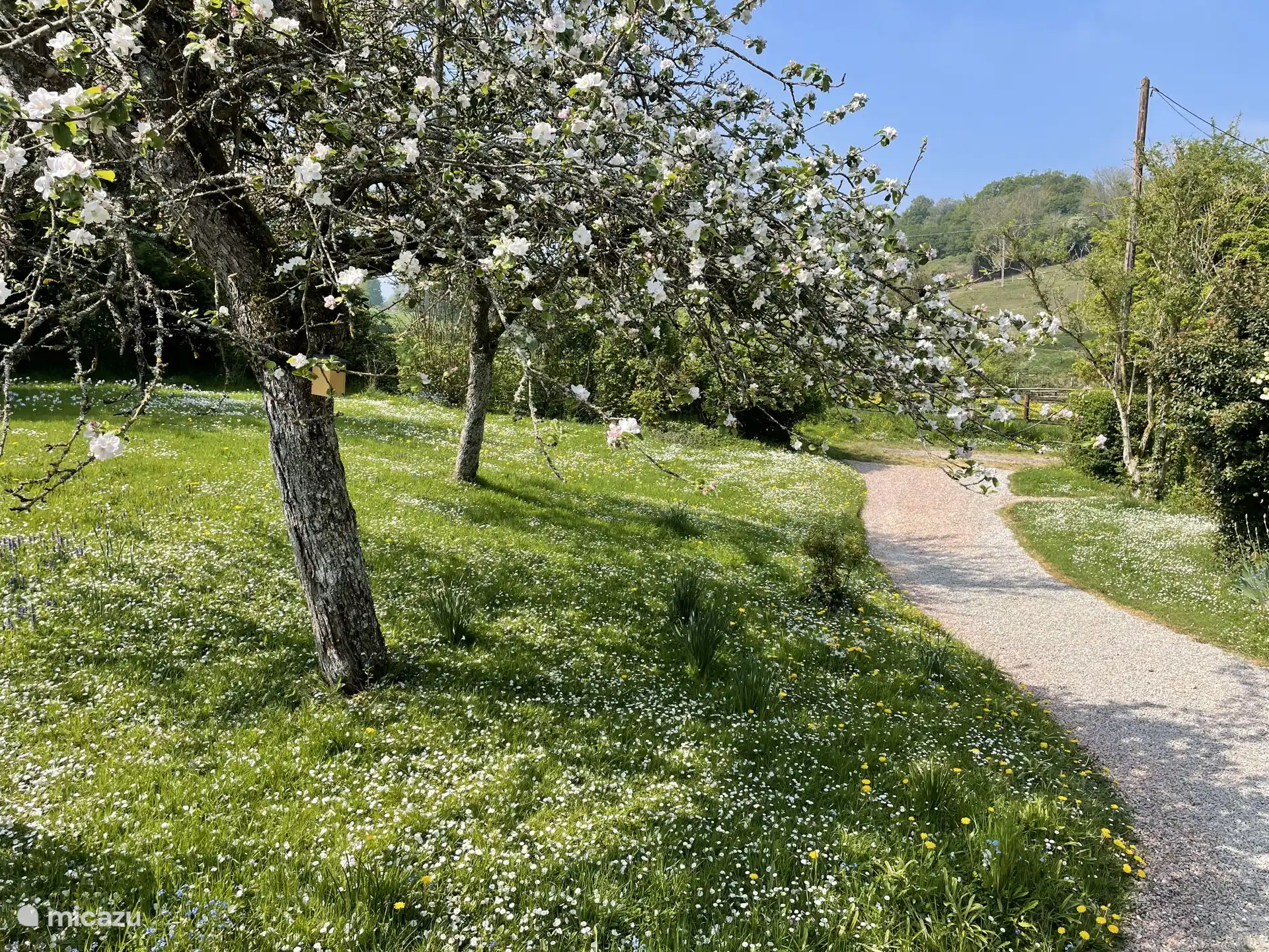 Delantera de Le Paradis con árboles frutales
