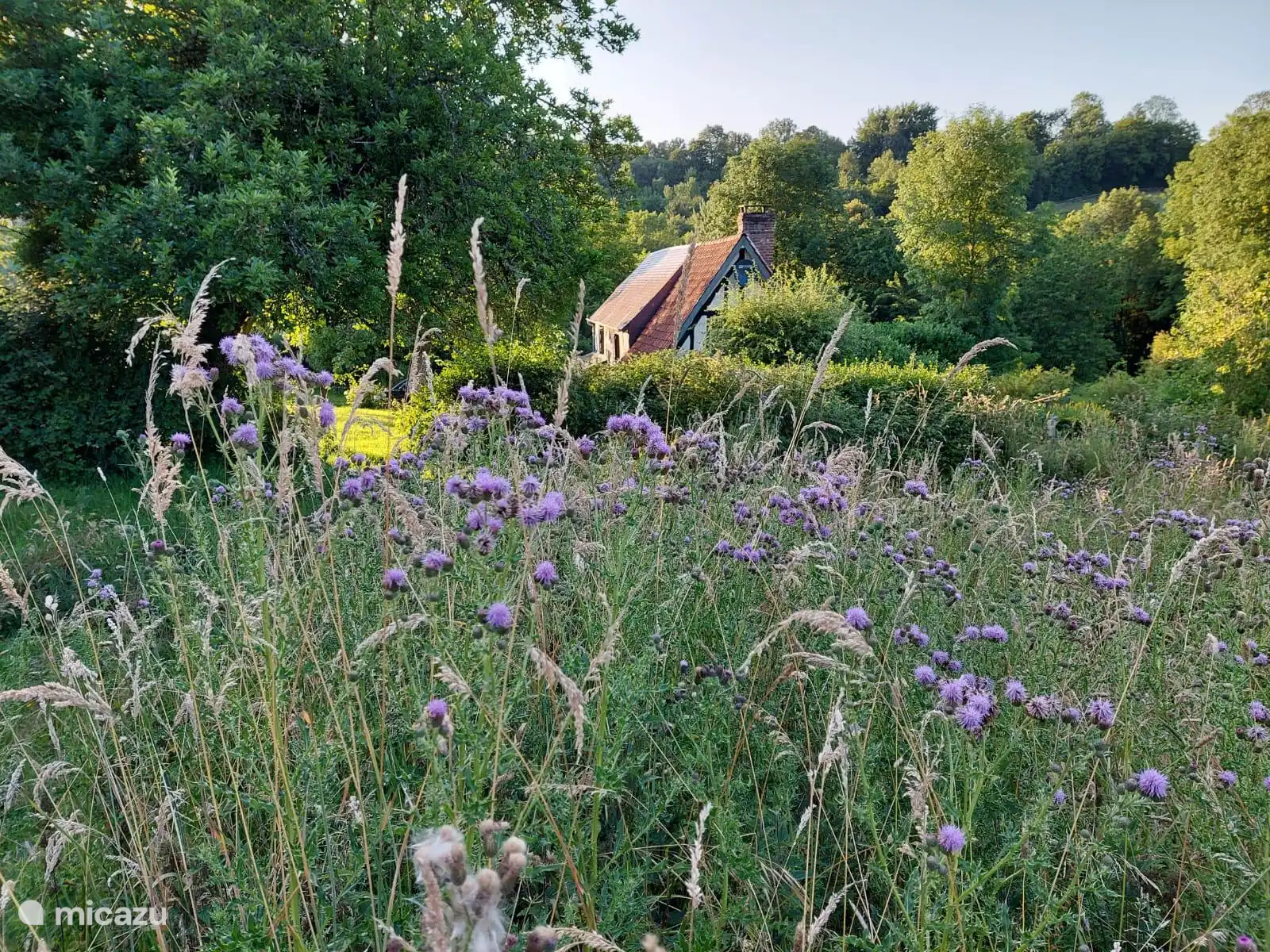 Un jardín florido con mucha biodiversidad