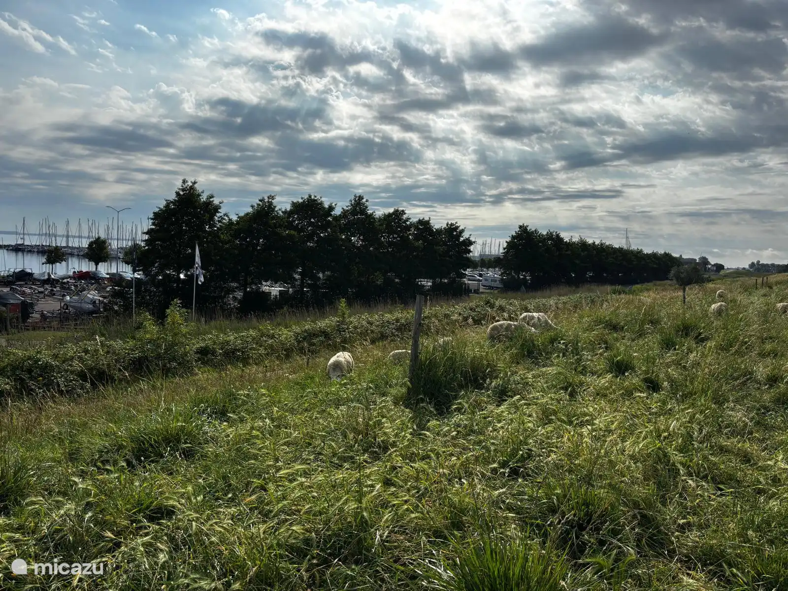 Paseando por el dique del lago Grevelingen.