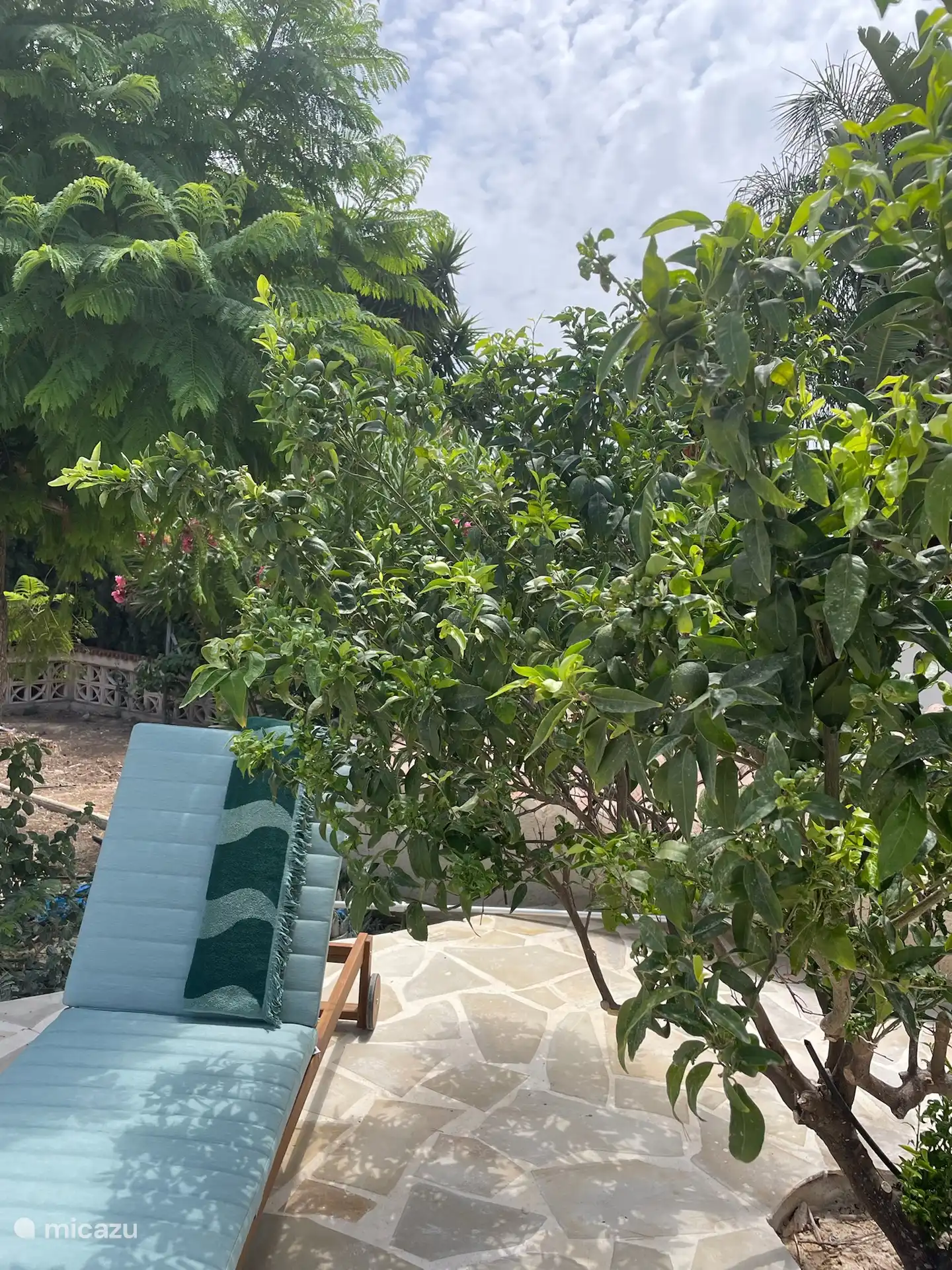 Endroit ombragé par le petit oranger sur la terrasse.