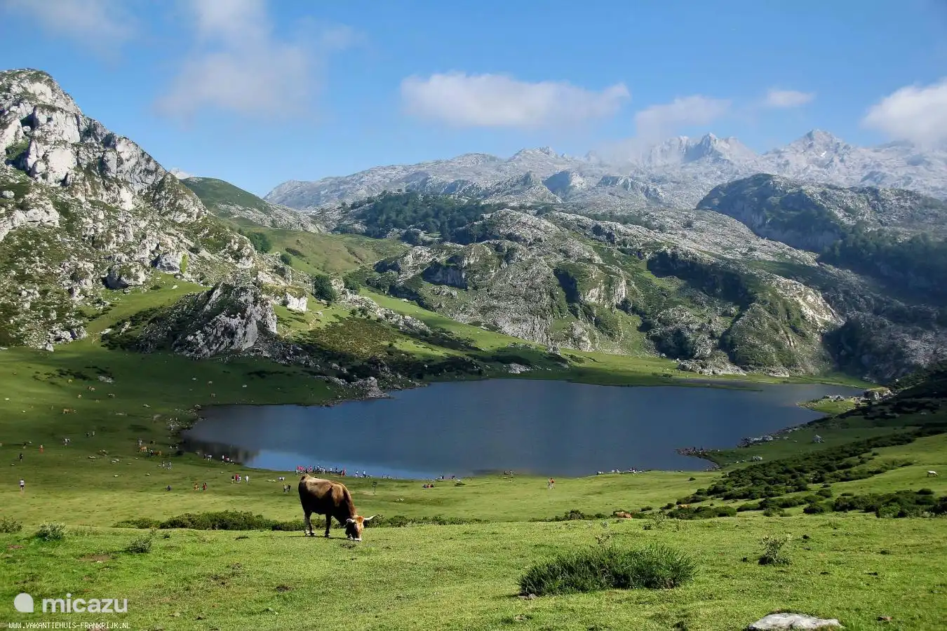 The Pyrenees