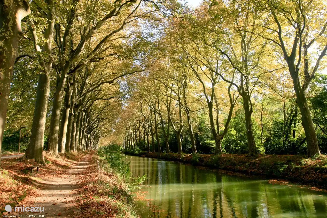 Canal du midi