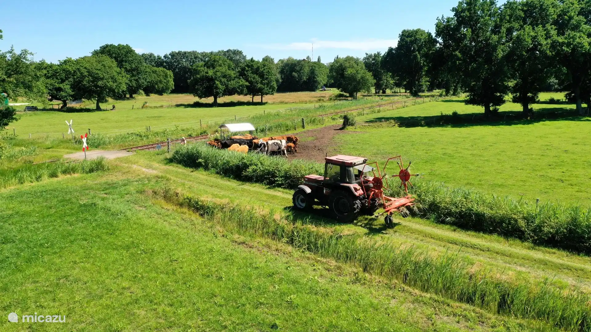 We practice active agriculture