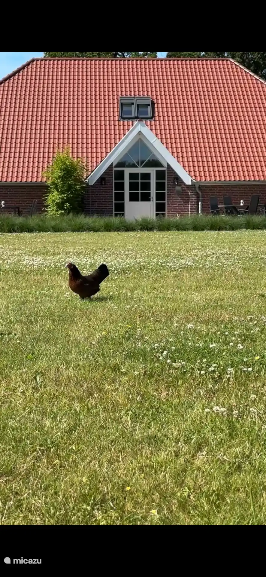 Every now and then one of our chickens gets lost on the meadow in front of the apartments. We are happy to share the eggs of our chickens with you. 