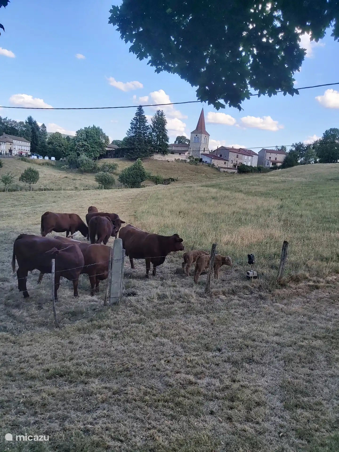 La vista del pueblo desde los jardines.