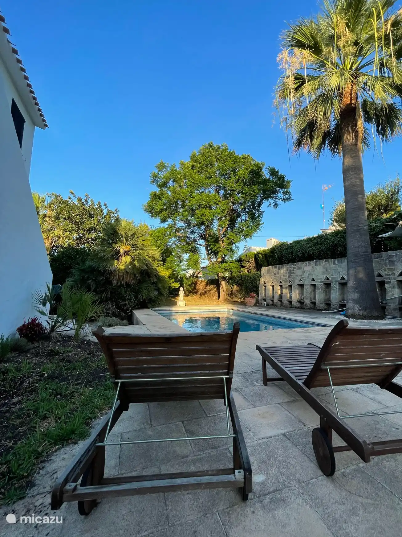 Jardin - Piscine