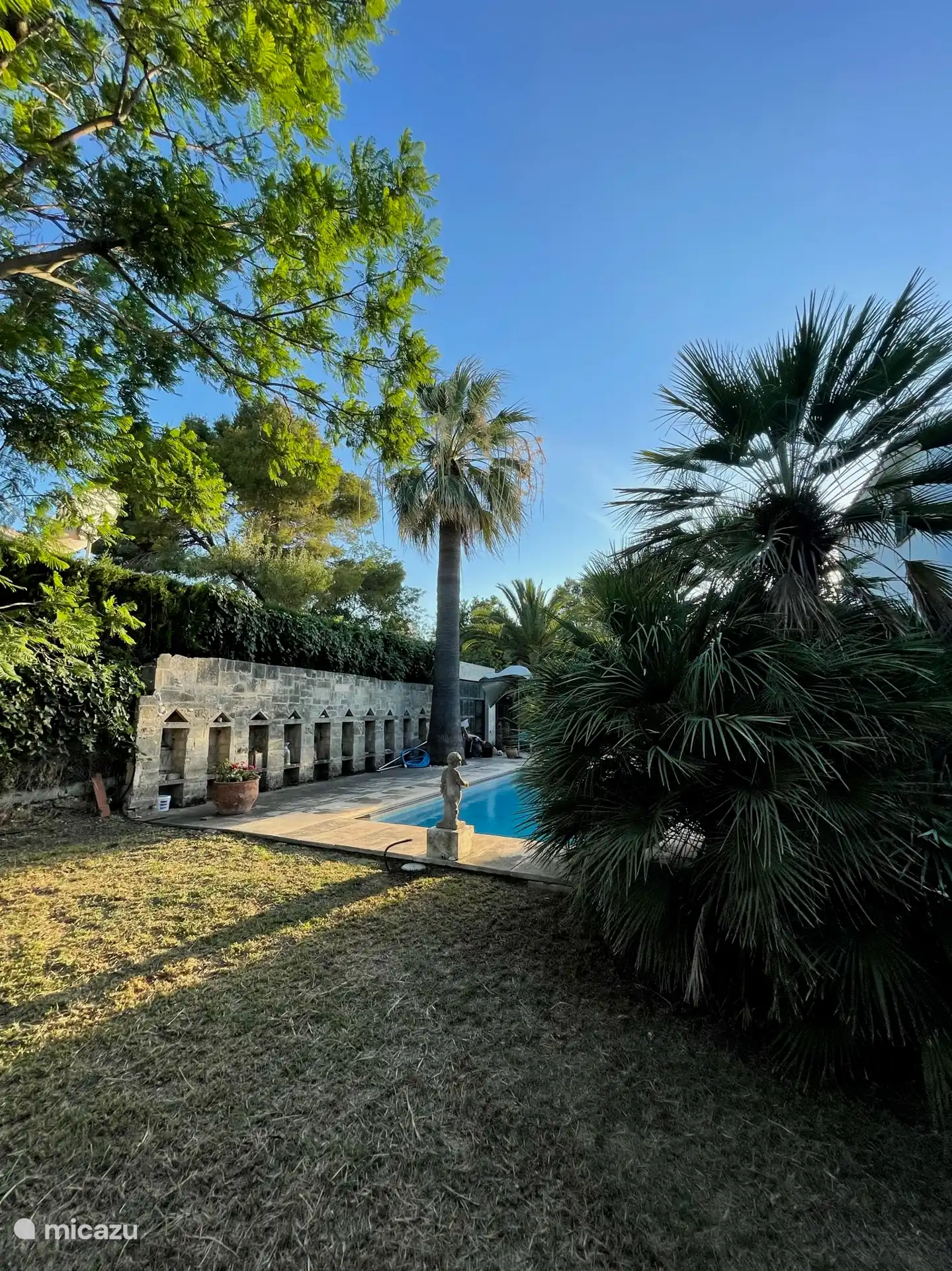 Jardin - Piscine