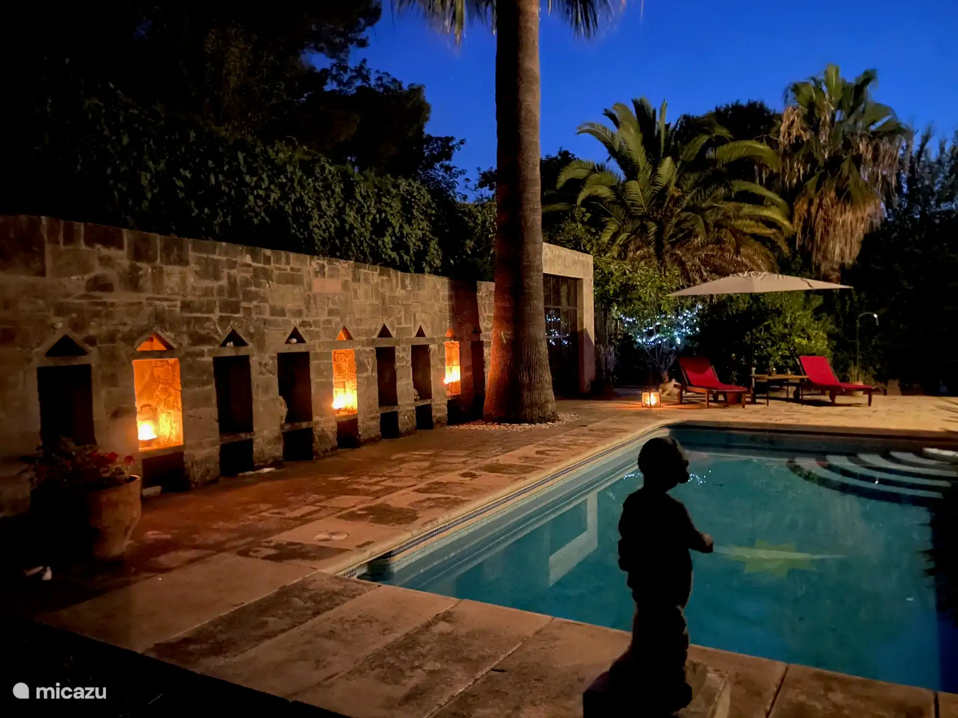 Jardin - piscine