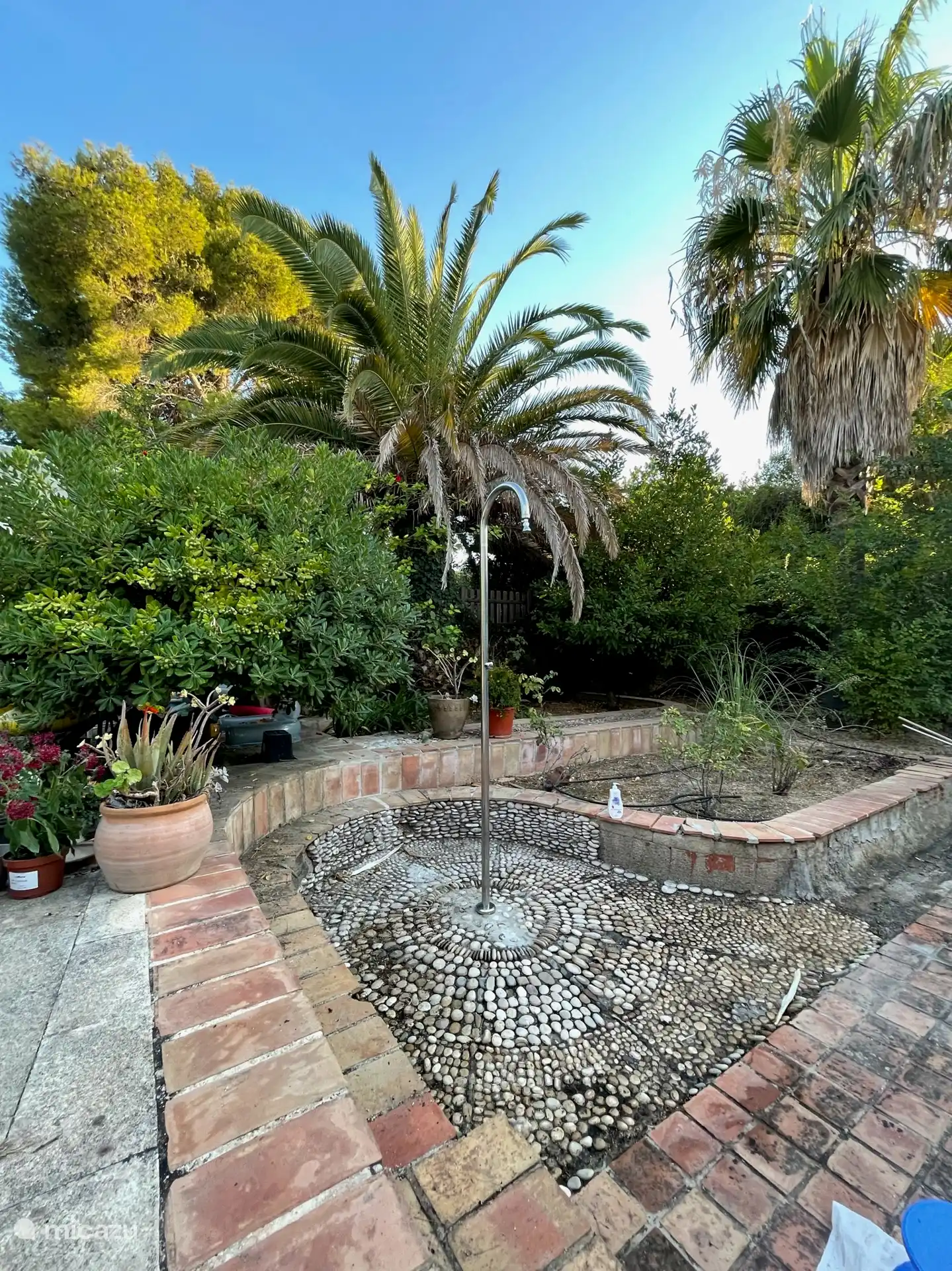 Jardin 