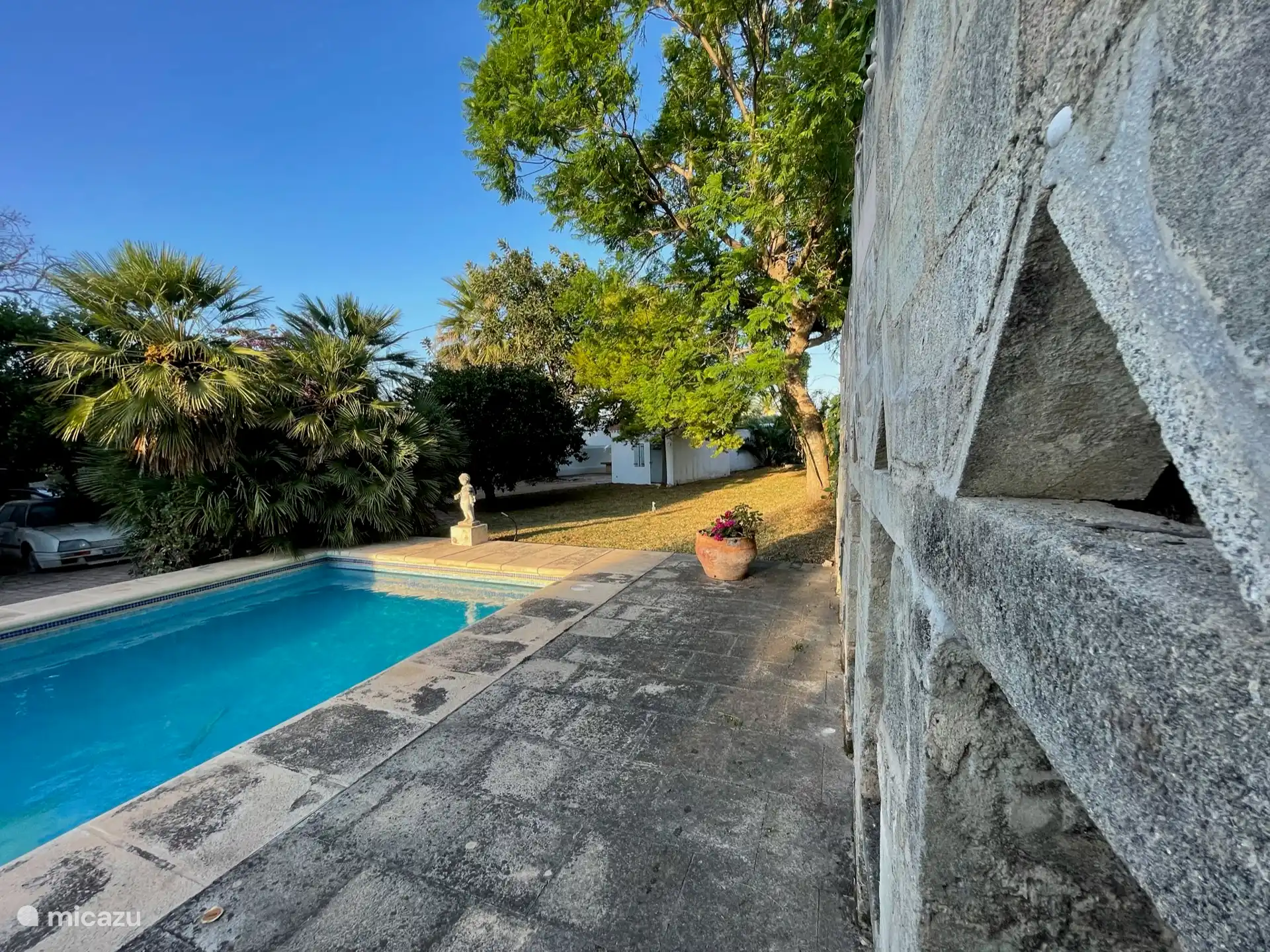 Jardin - Piscine