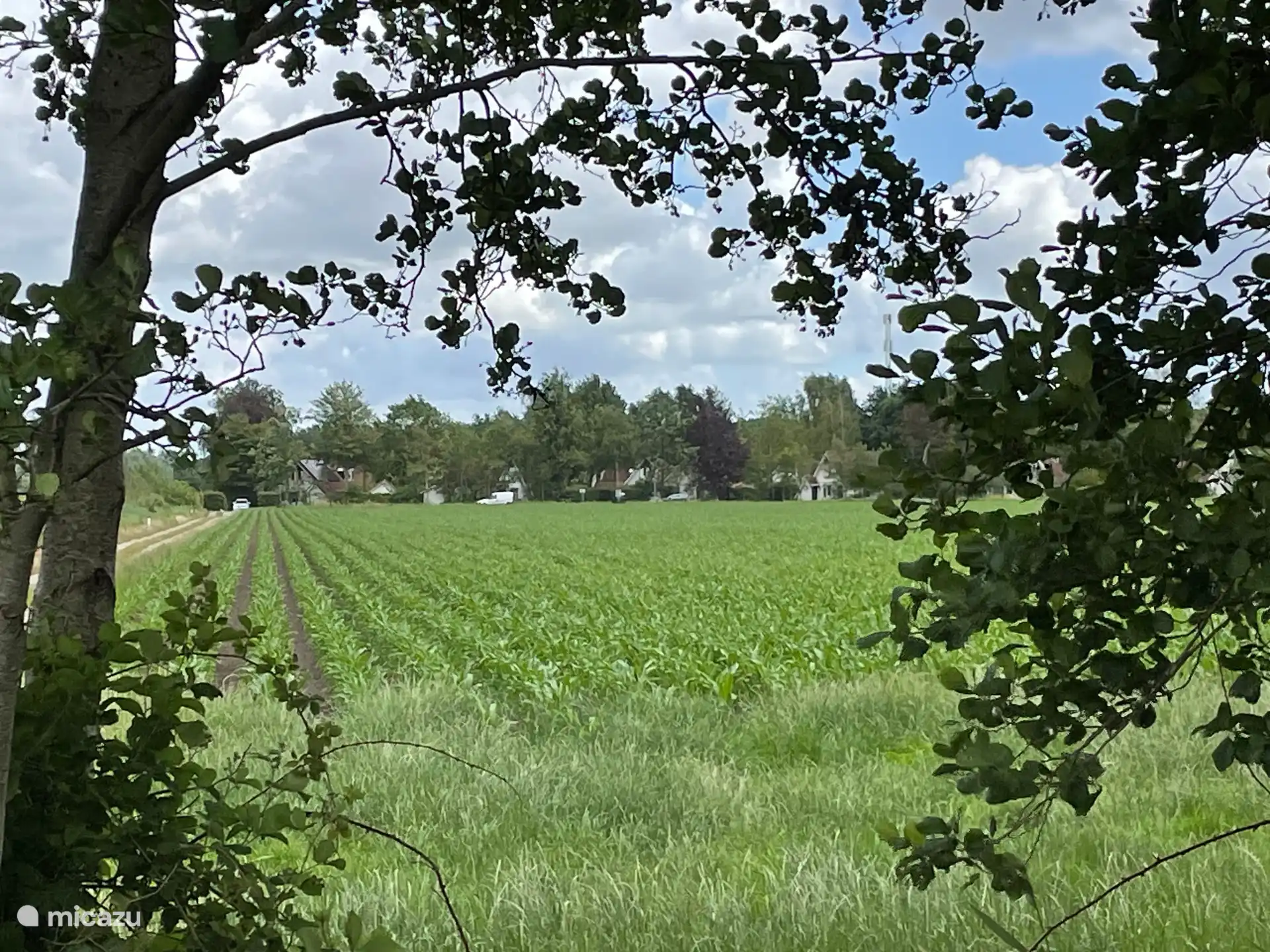 Le cottage est situé à la lisière du parc. Vu ici de l’autre côté de la prairie