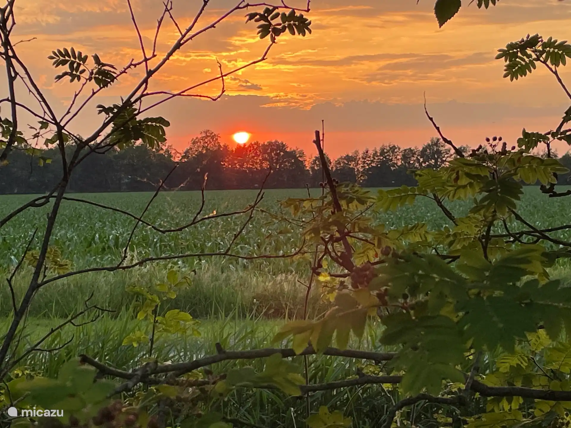 Dans le jardin, profitant du dernier soleil d’une belle journée.