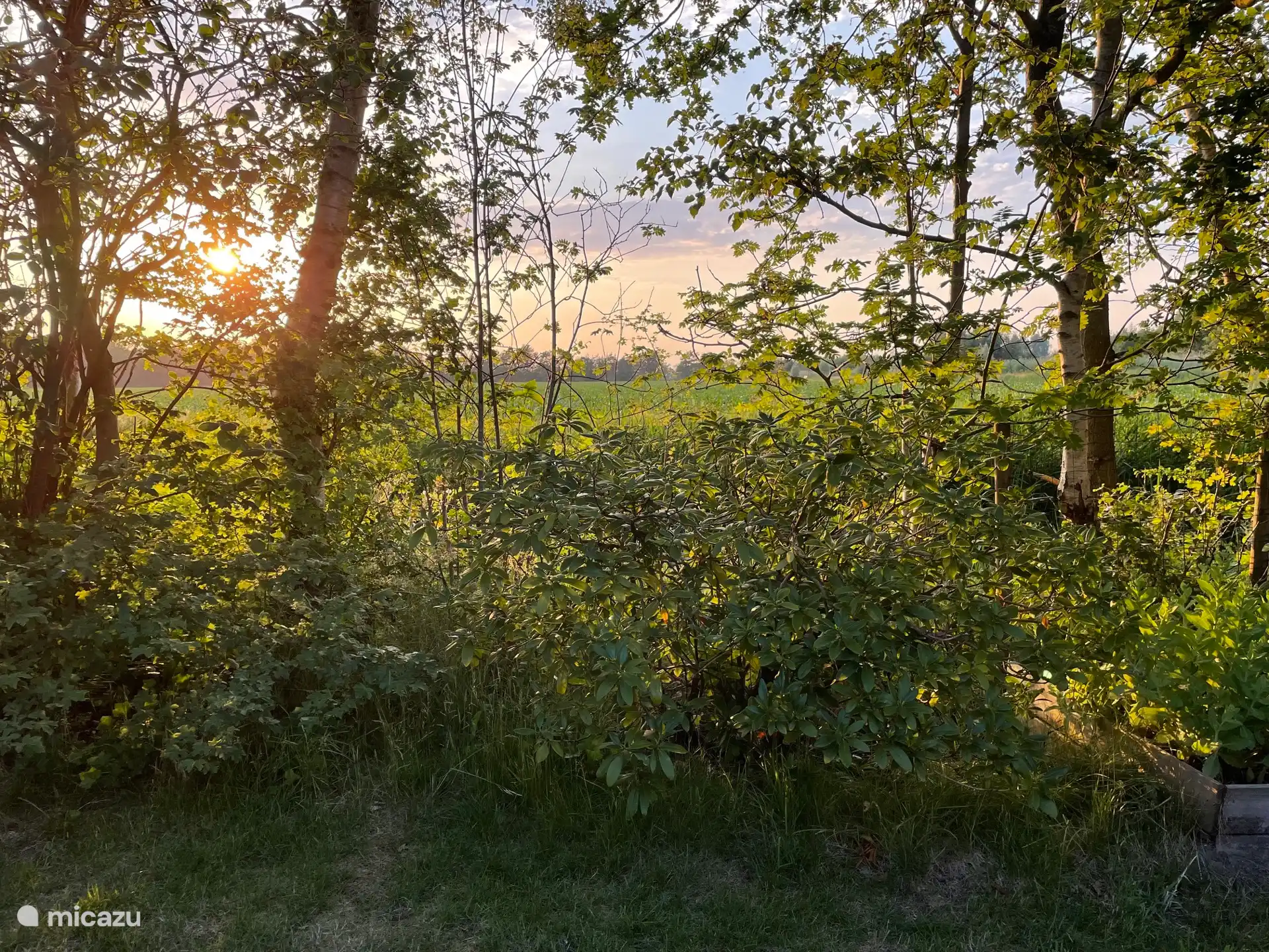 Notre vue depuis le jardin